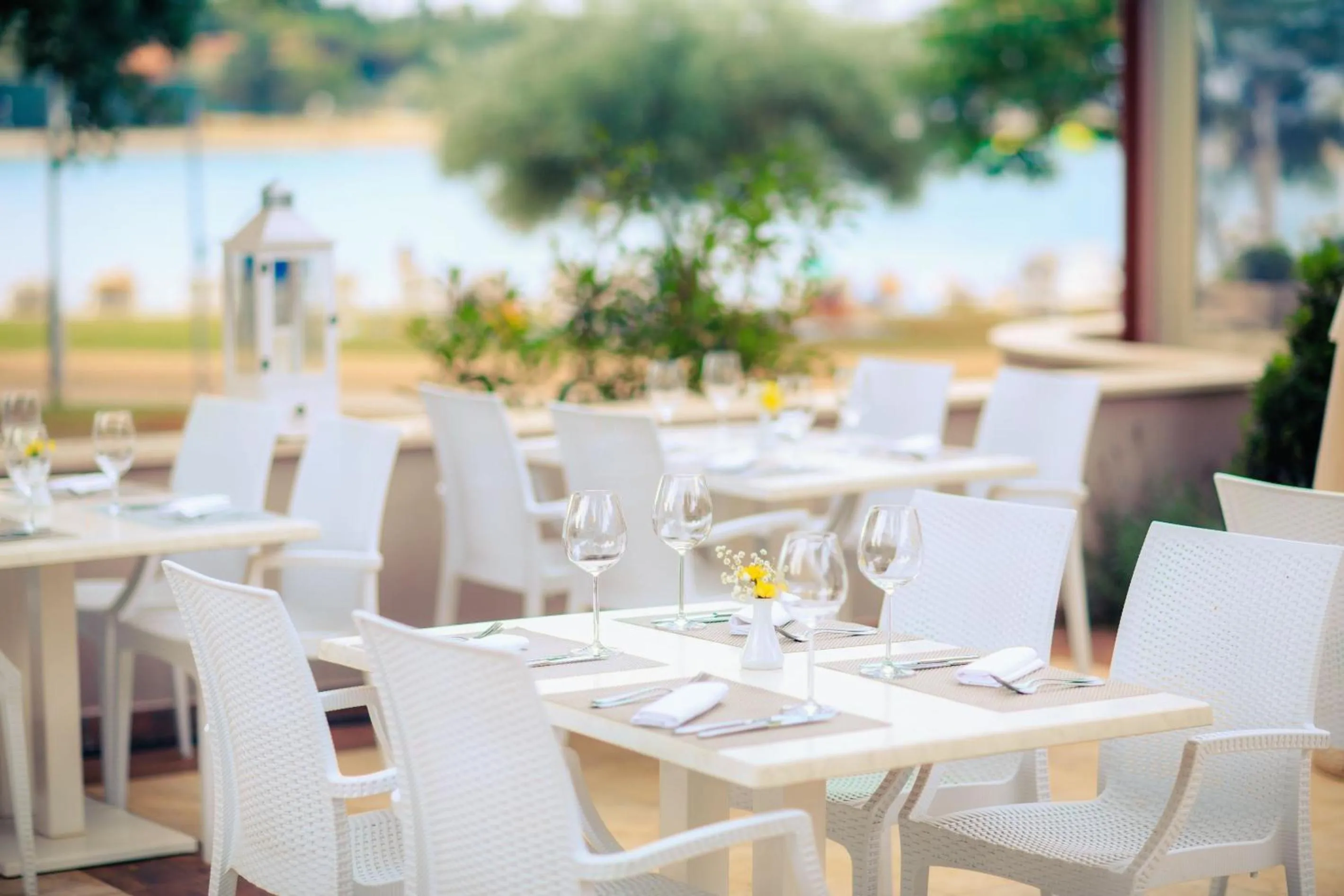 Restaurant/places to eat in Apartments Stella Plava Laguna