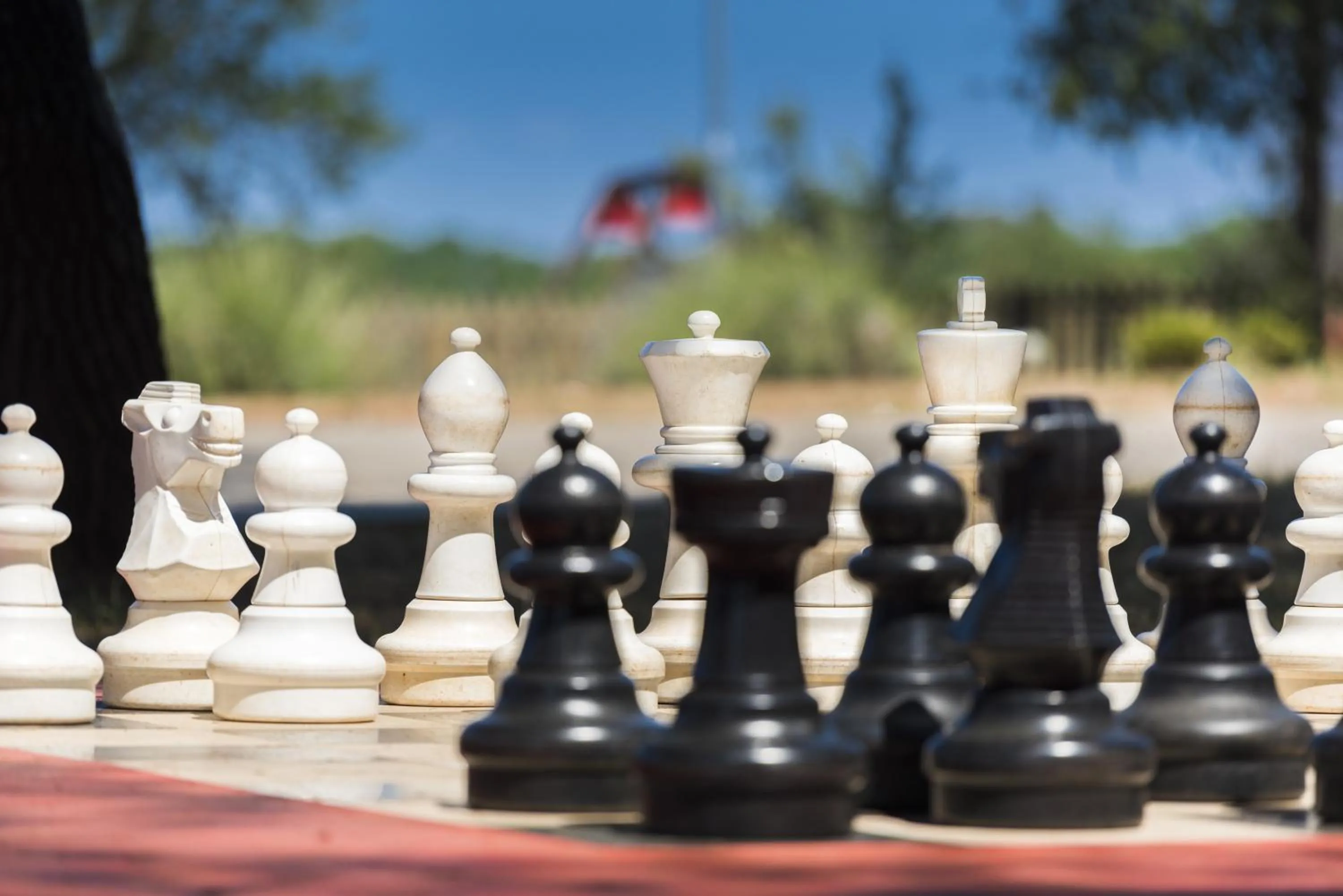 Activities in Apartments Polynesia Plava Laguna