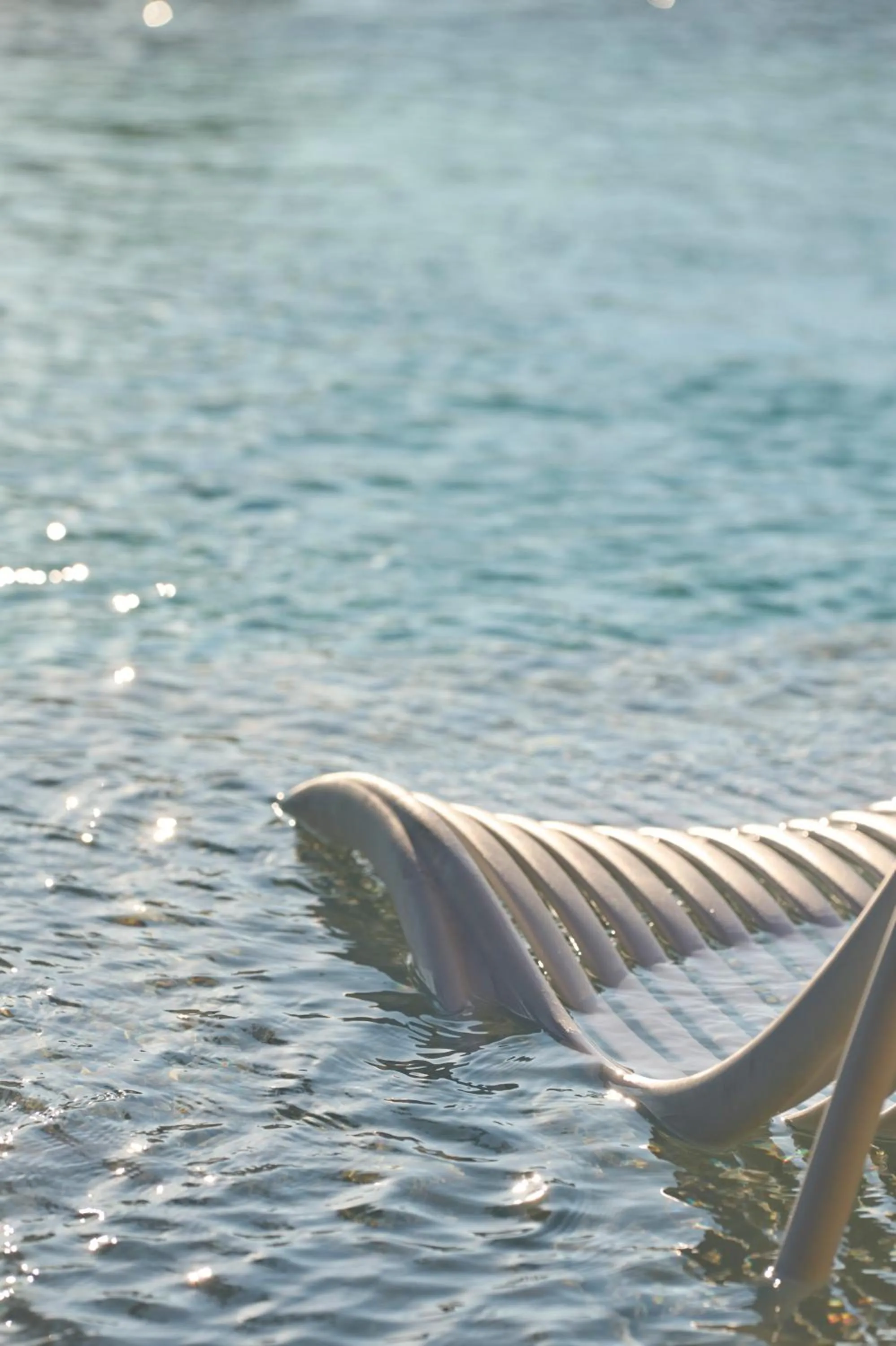 Swimming pool in Amadria Park Grand Hotel 4 Opatijska Cvijeta