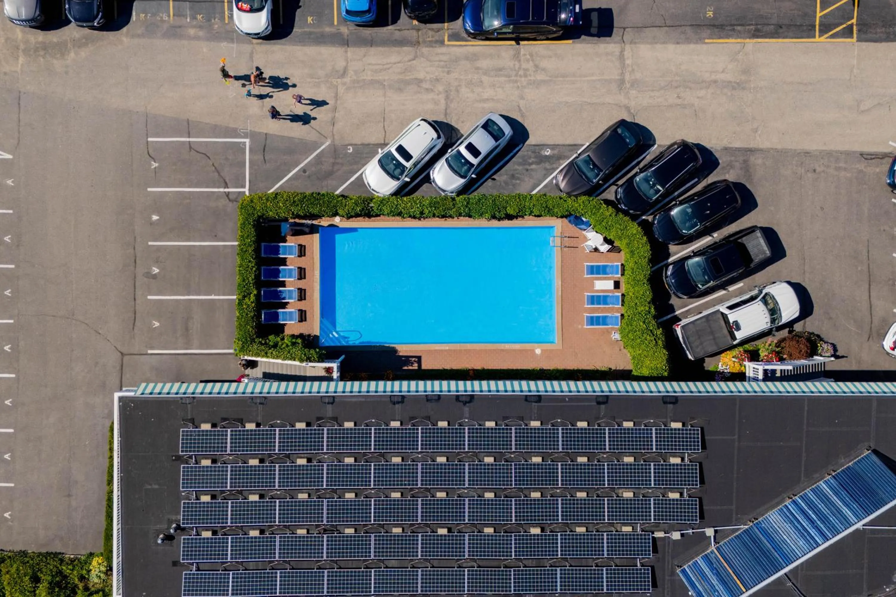 Swimming pool in The Edgewater