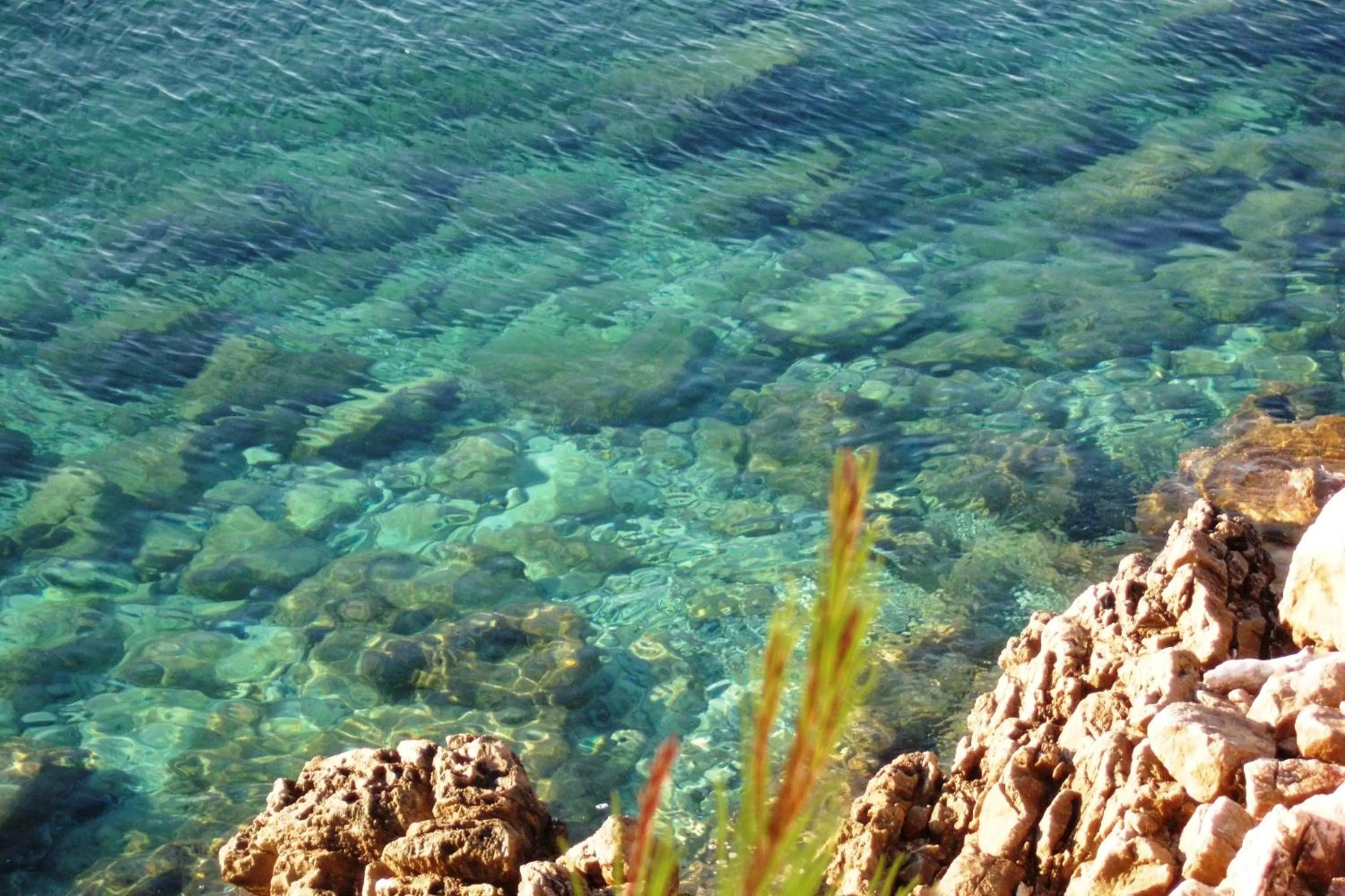 View (from property/room) in Hotel Priscapac Resort & Apartments