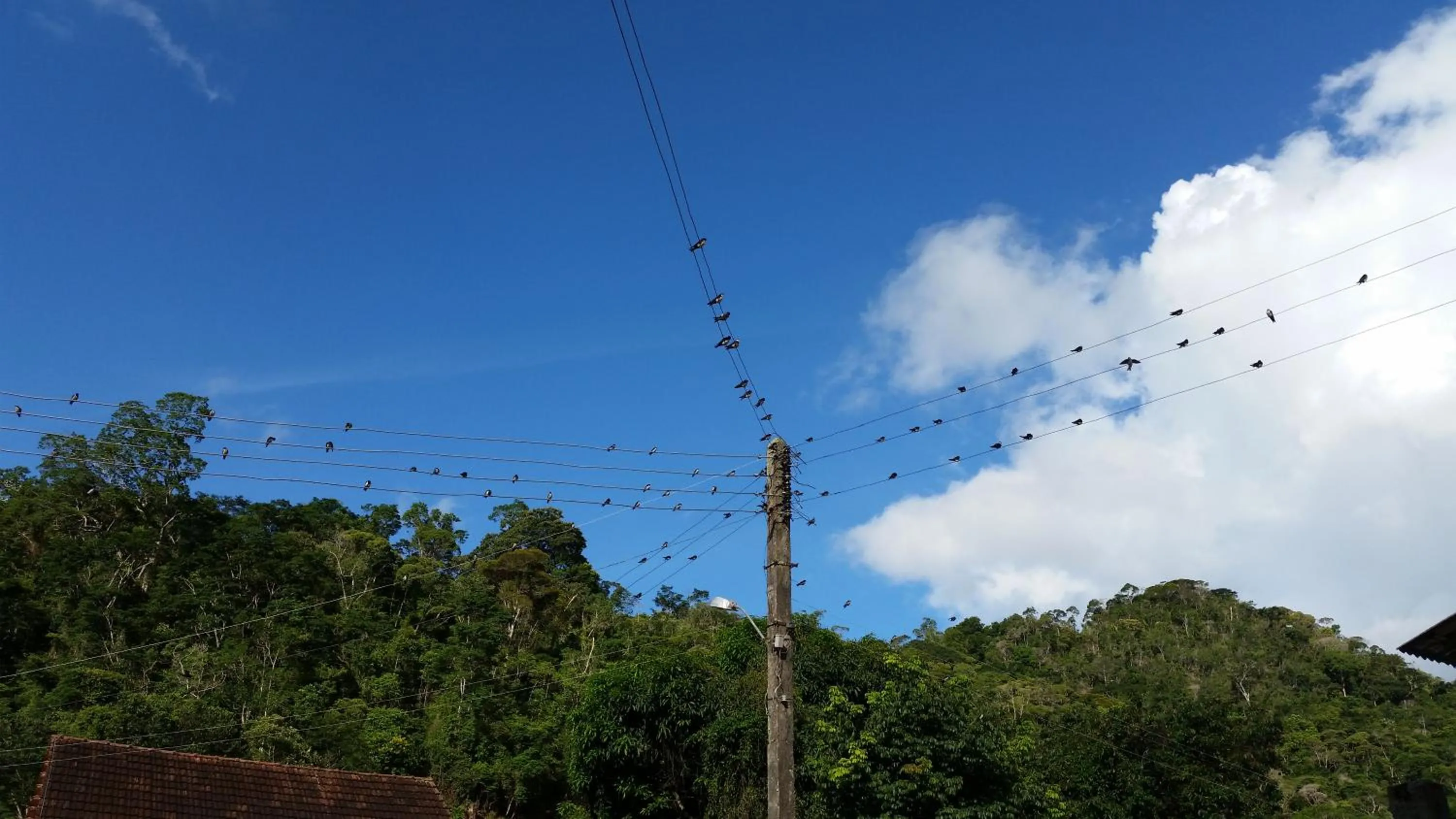 Natural landscape in Agellum Bed & Breakfast