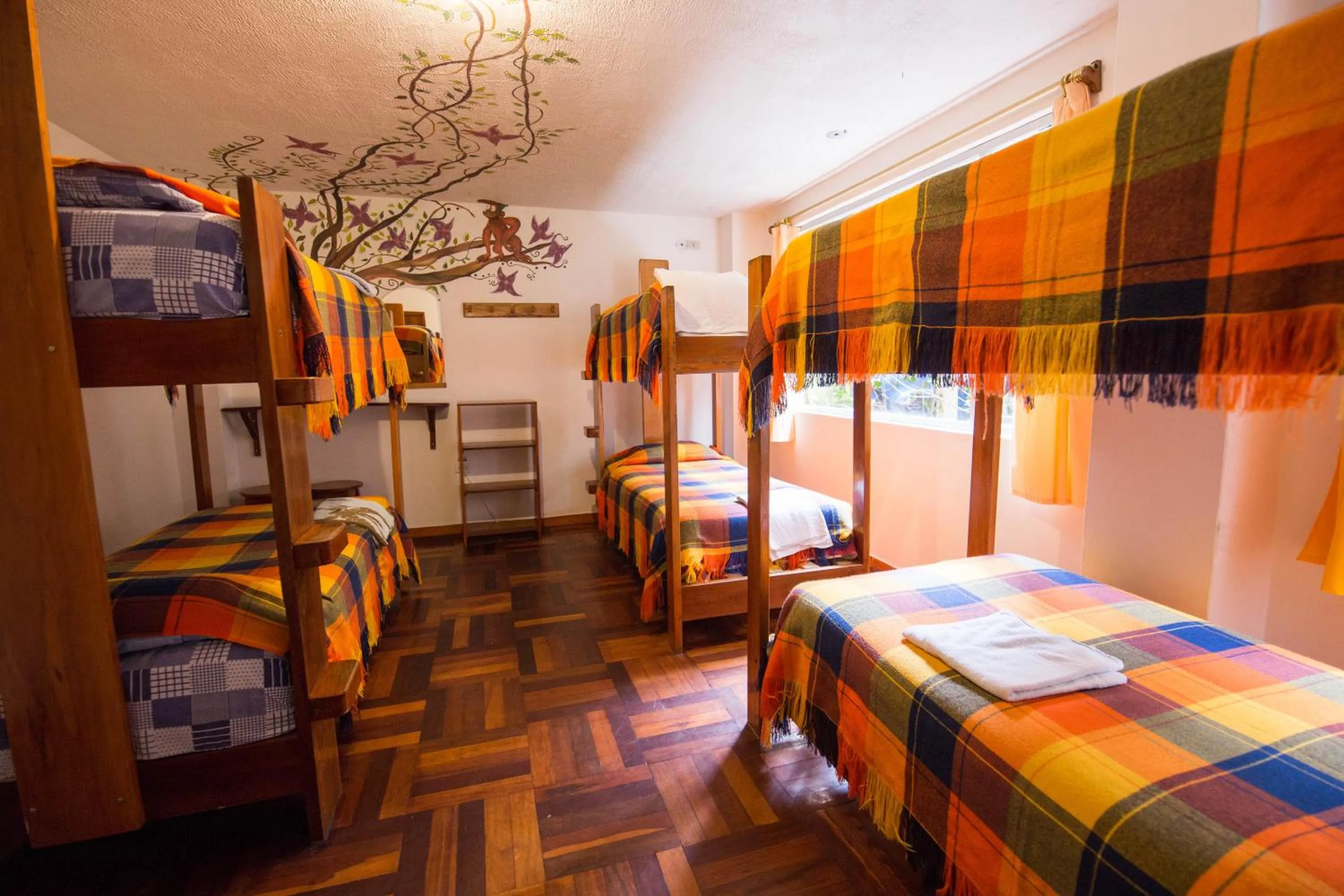 Bed in 6-Bed Dormitory Room in Hostal Chimenea
