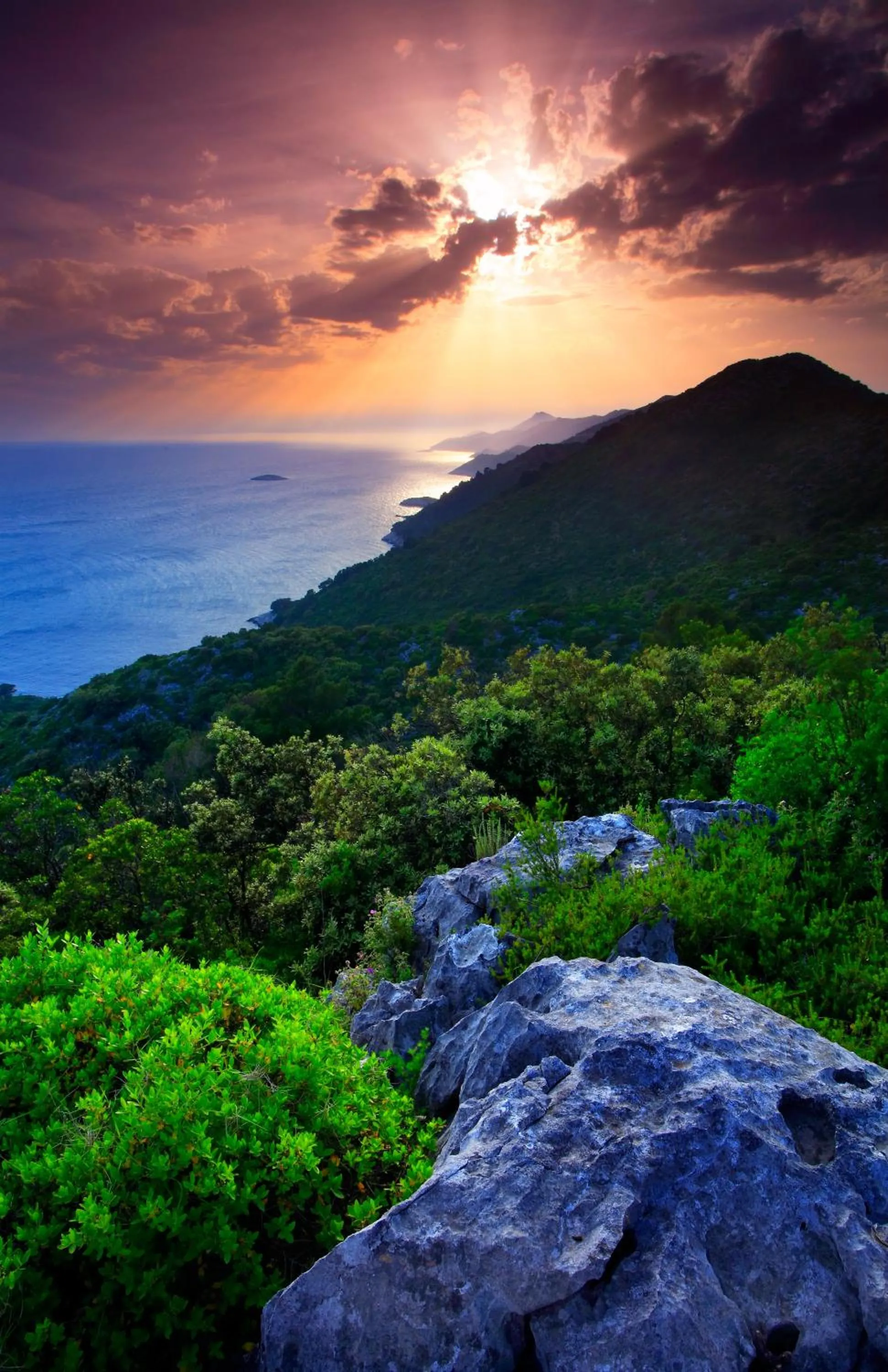 Area and facilities in Hotel Odisej