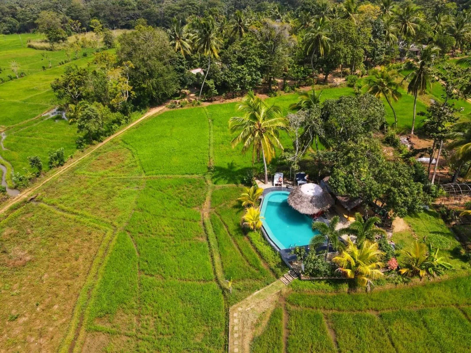Nelu Villa Sigiriya