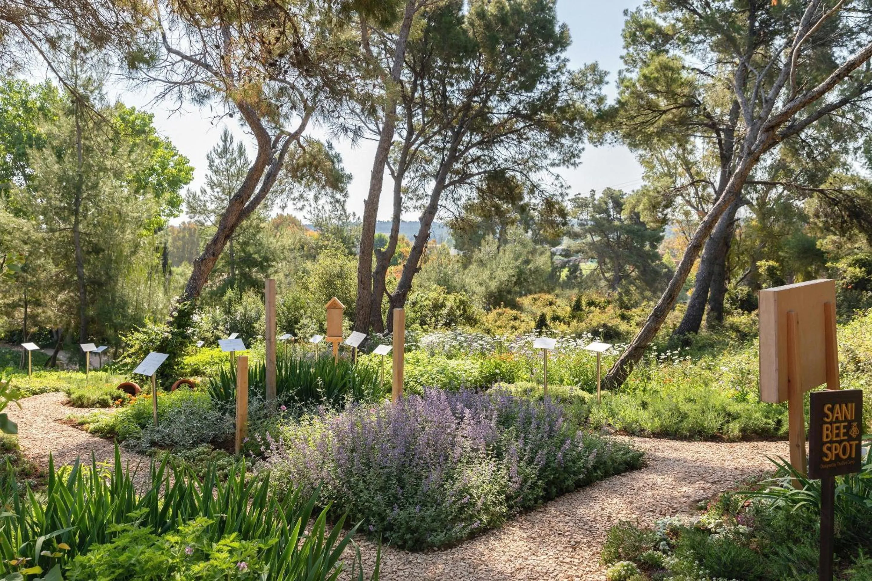 Garden in Sani Dunes