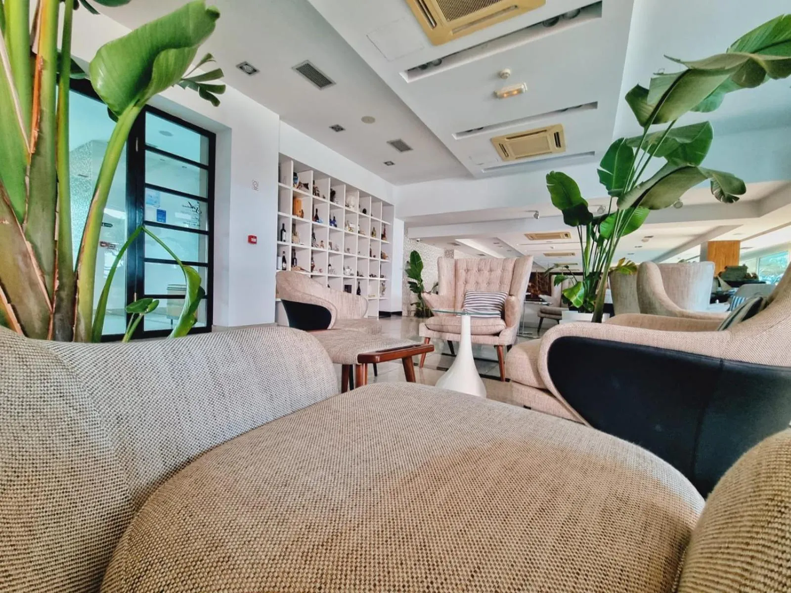 Lounge or bar in Hotel San Antonio