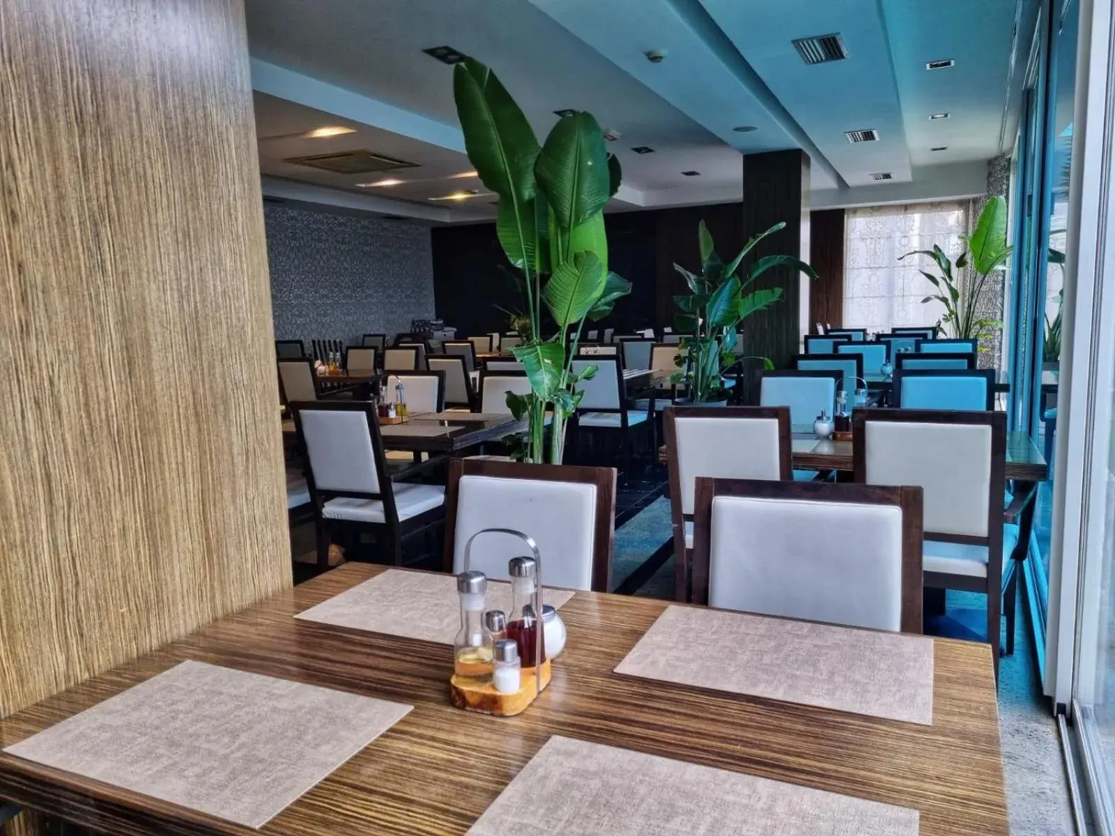 Restaurant/places to eat in Hotel San Antonio Restaurant/places to eat in Hotel San Antonio