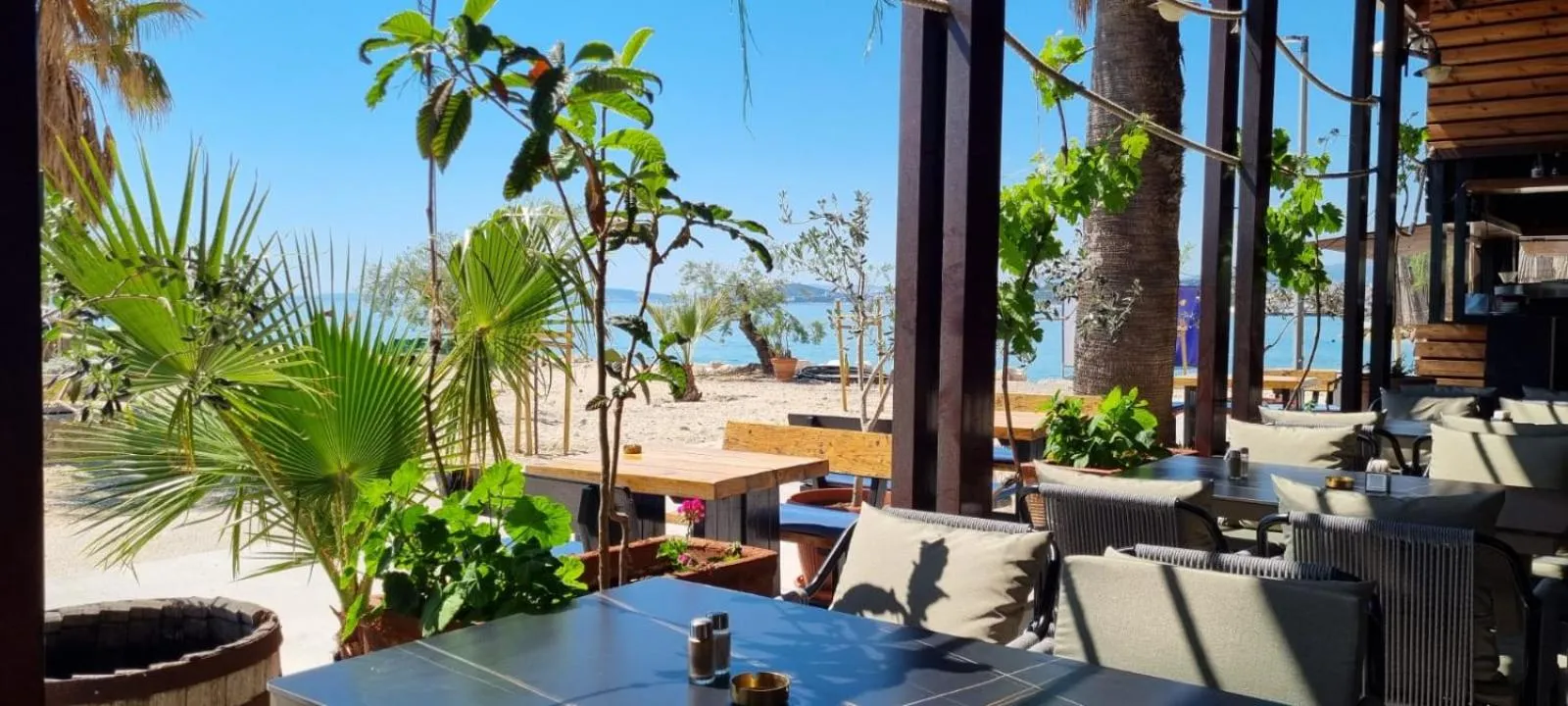 Restaurant/places to eat in Hotel San Antonio