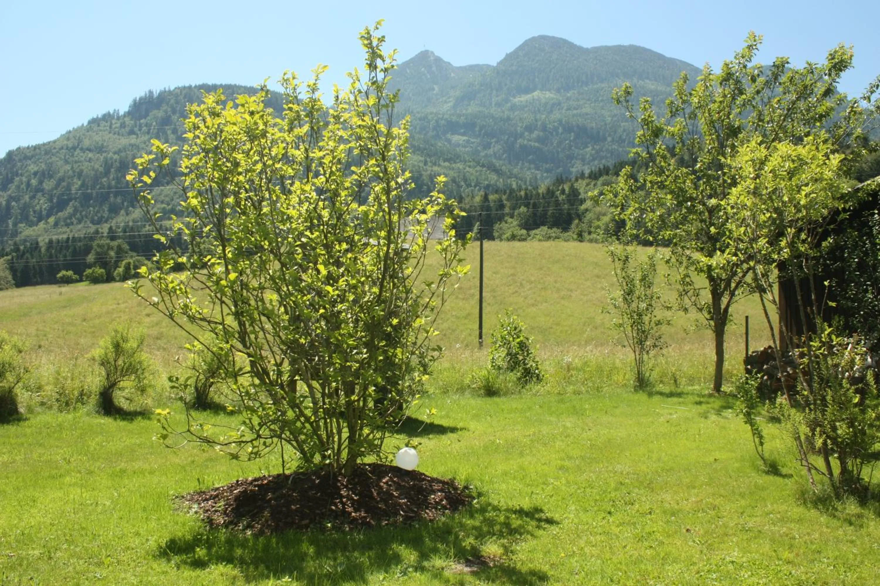 Garden view in Landlust Ischl