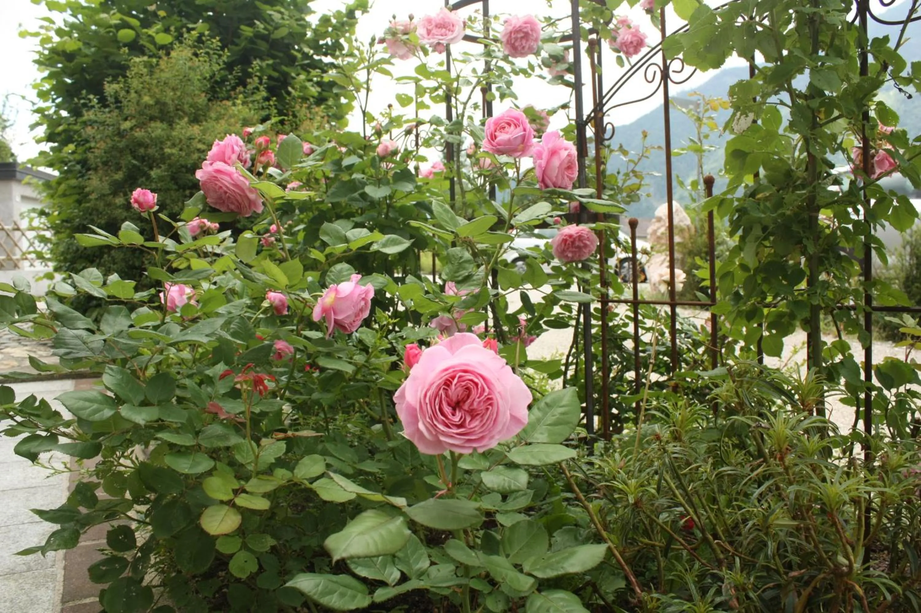 Garden in Landlust Ischl