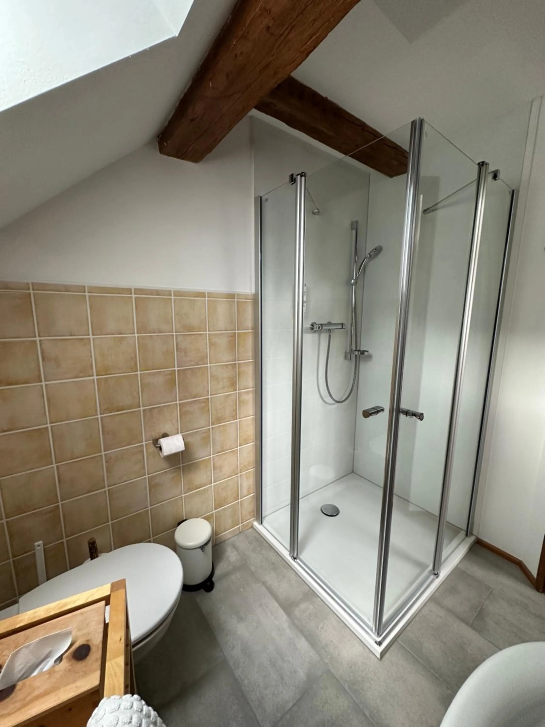 Bathroom in Landlust Ischl