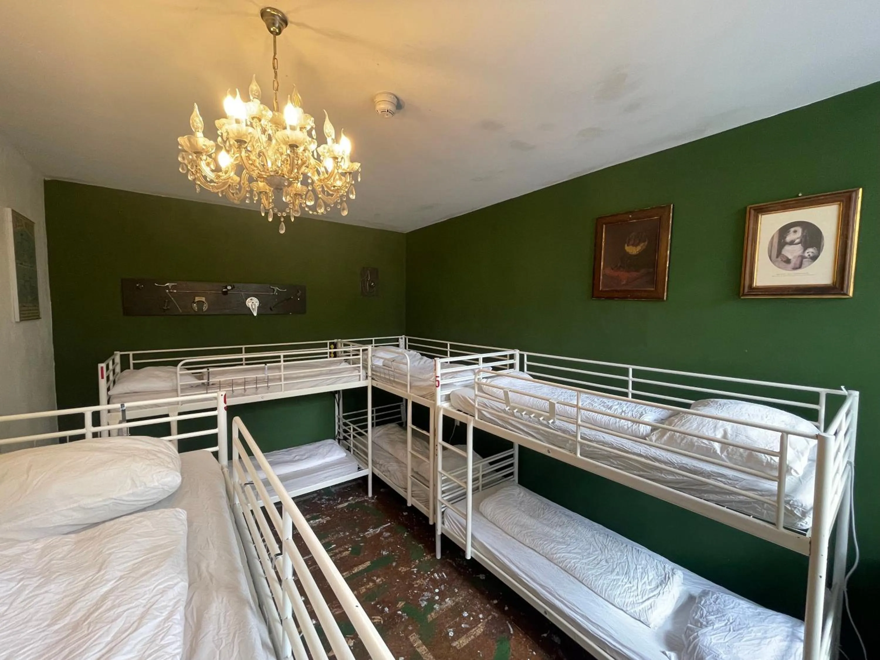 Photo of the whole room, Bed in Thuis bij Schell