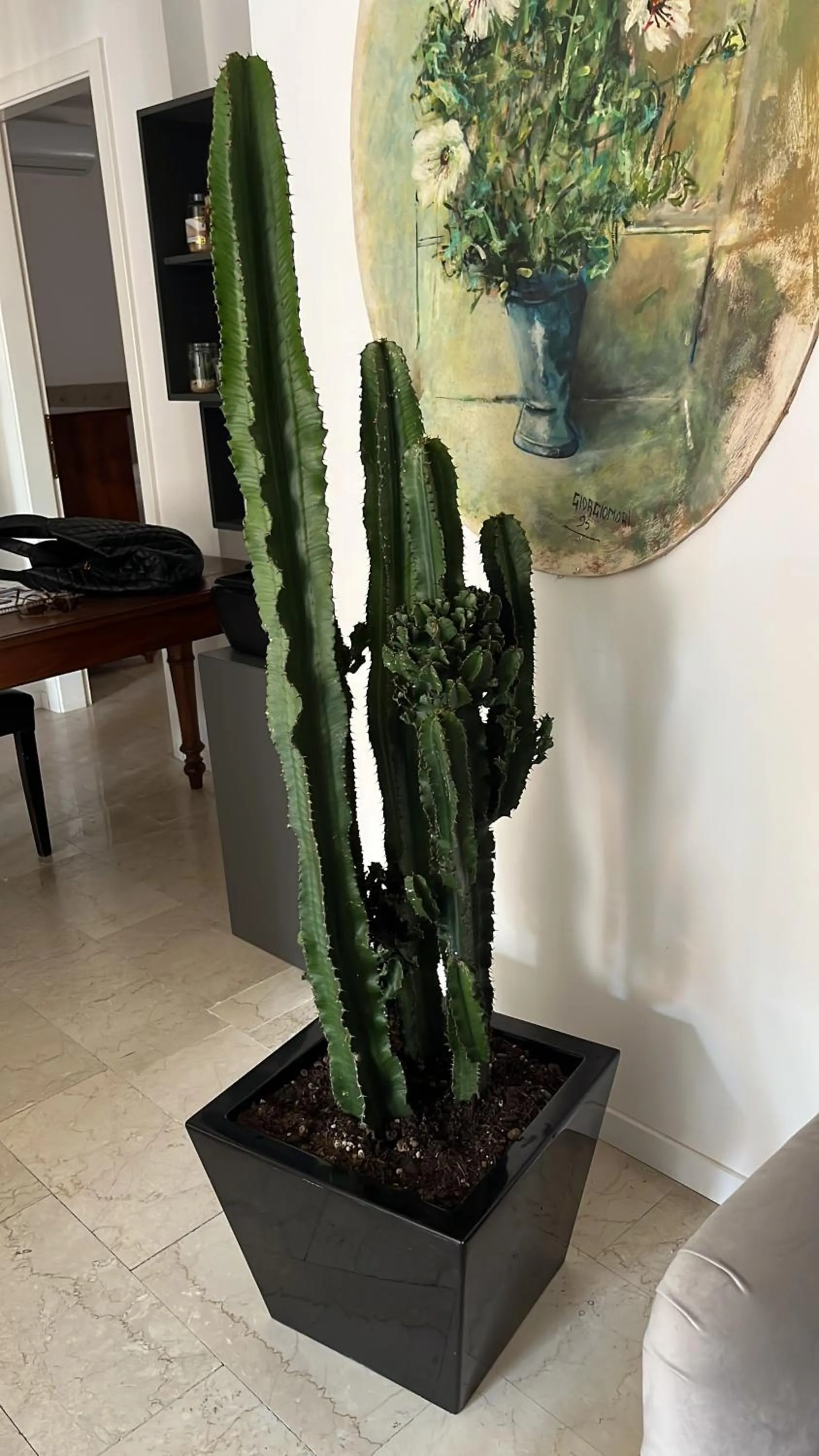 Decorative detail in Fleur Blanche