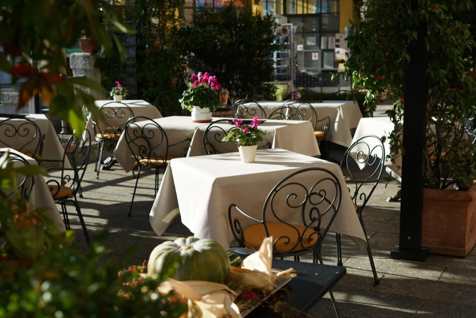 Balcony/Terrace in Hotel Cannero