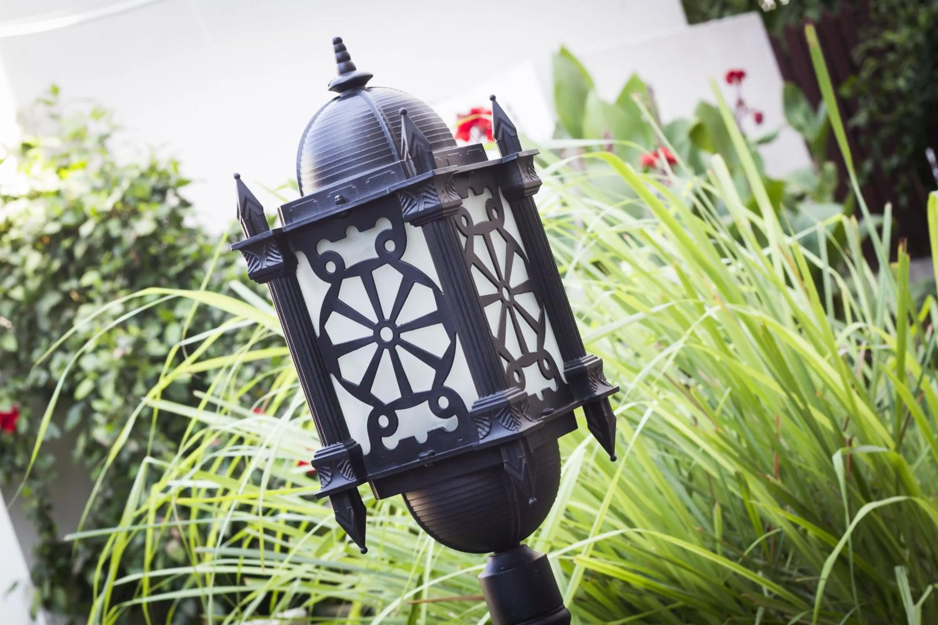 Garden in Best Western Plus Zanzibar