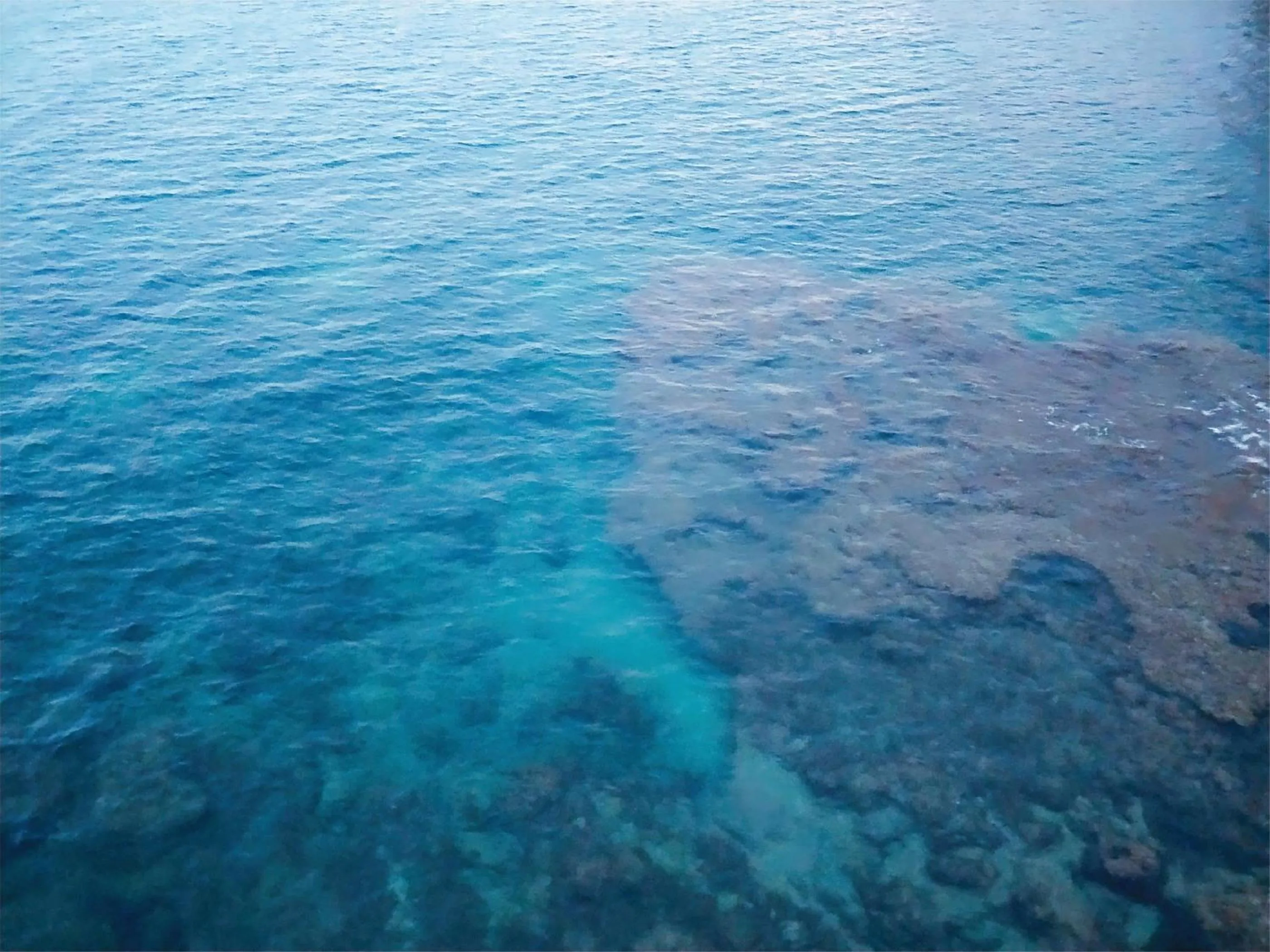 Off site in Ciclamino Siracusa