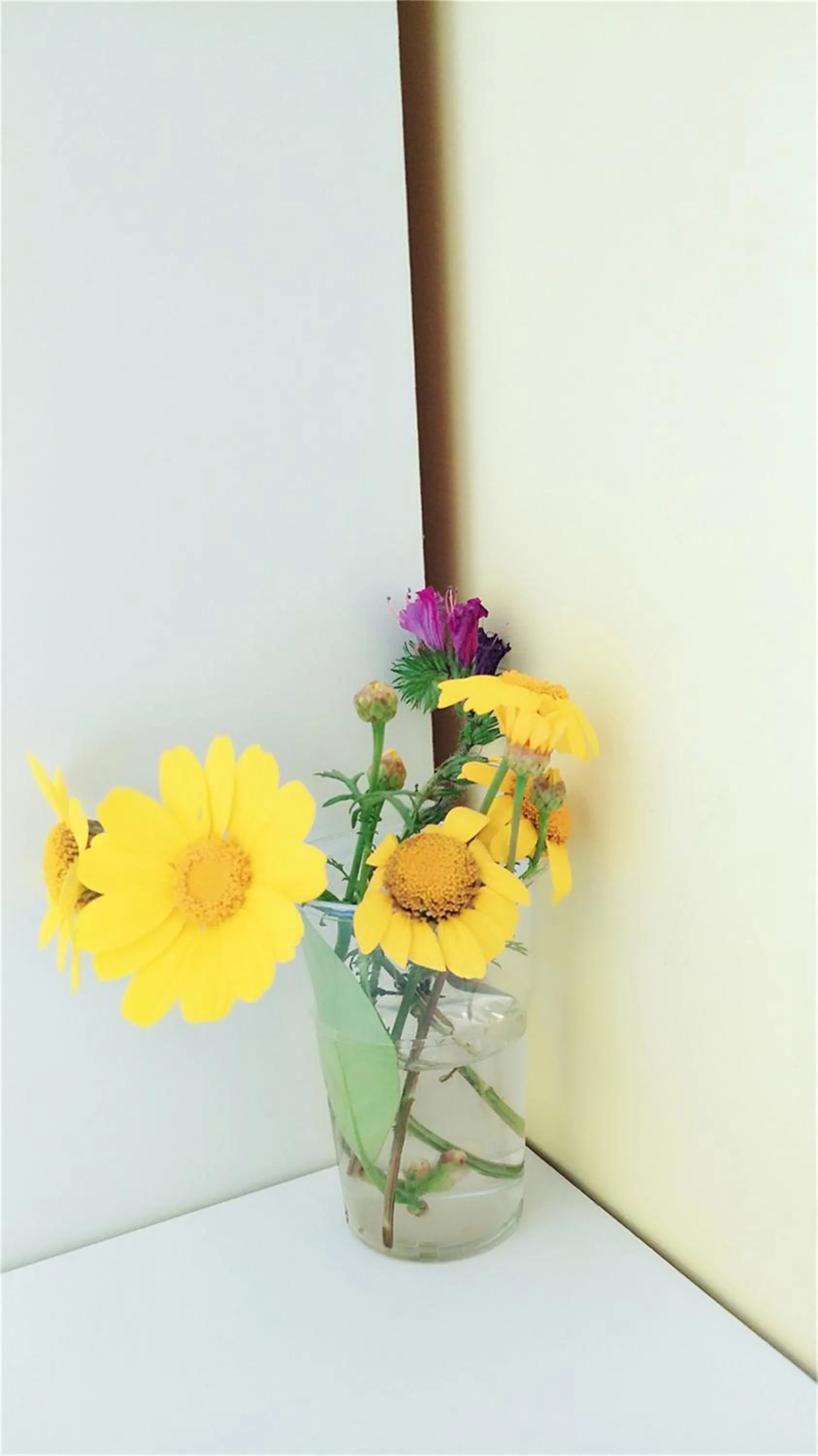 Other in Ciclamino Siracusa