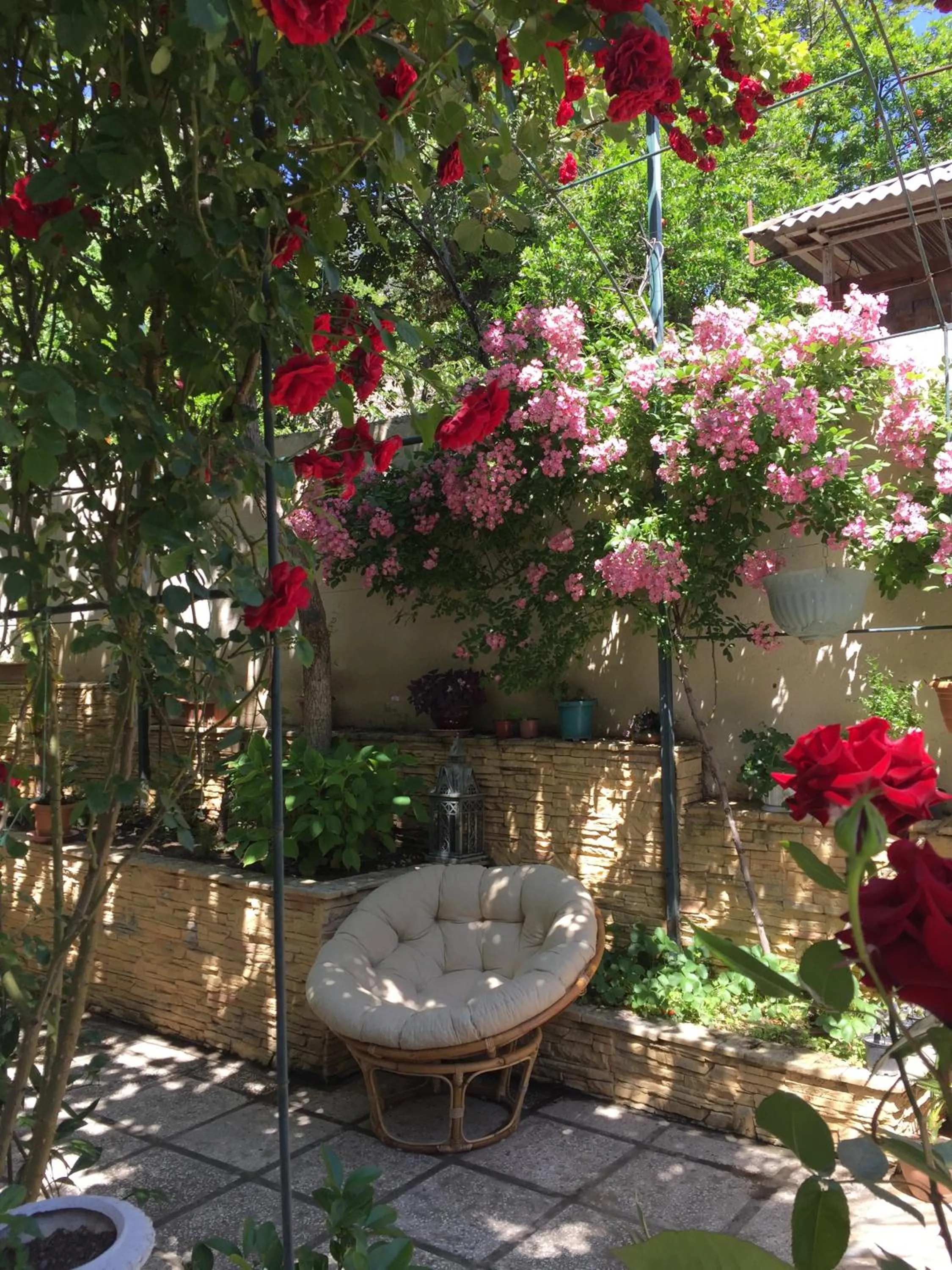 Garden in House 41