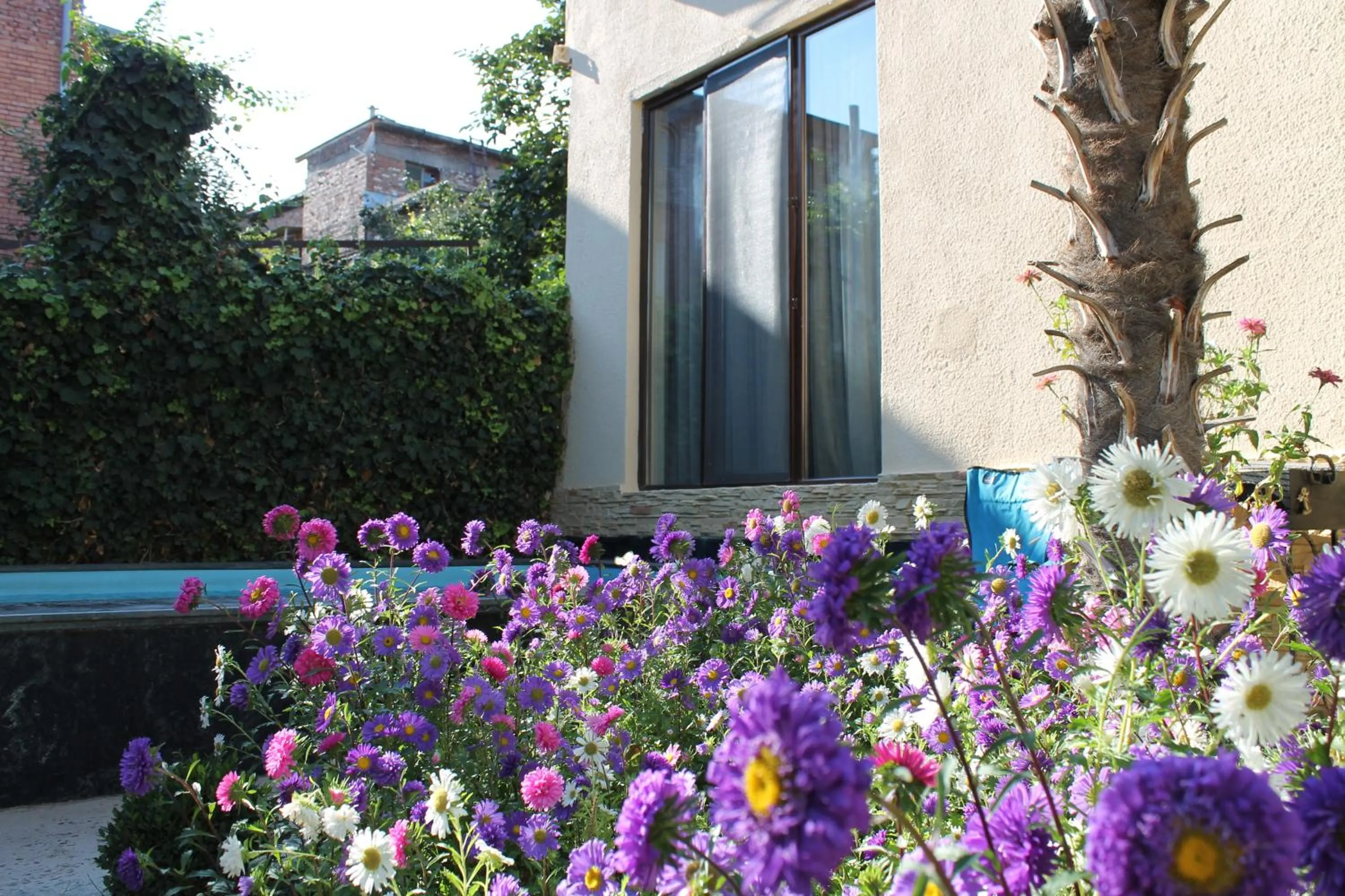Garden in House 41