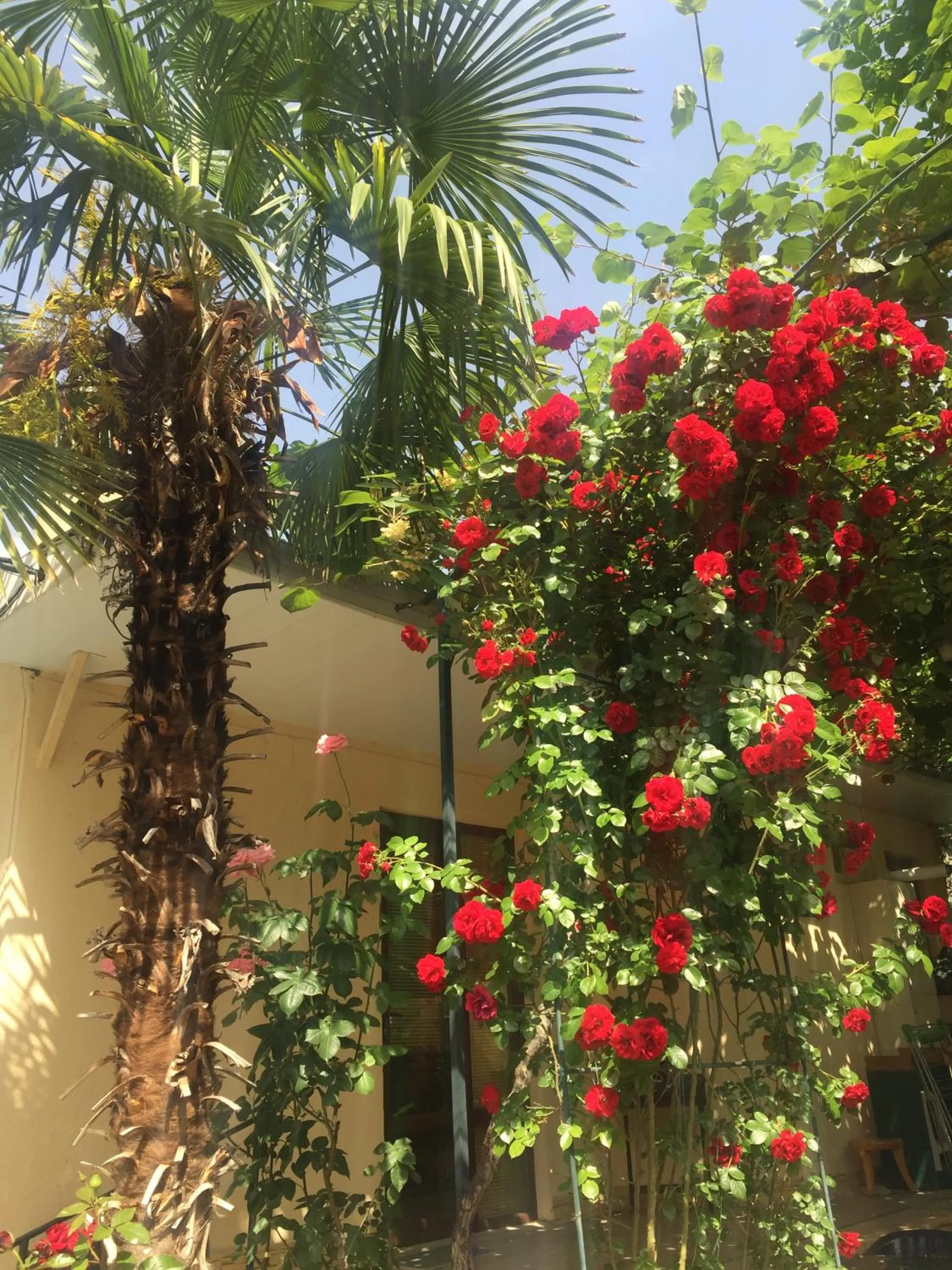 Summer in House 41