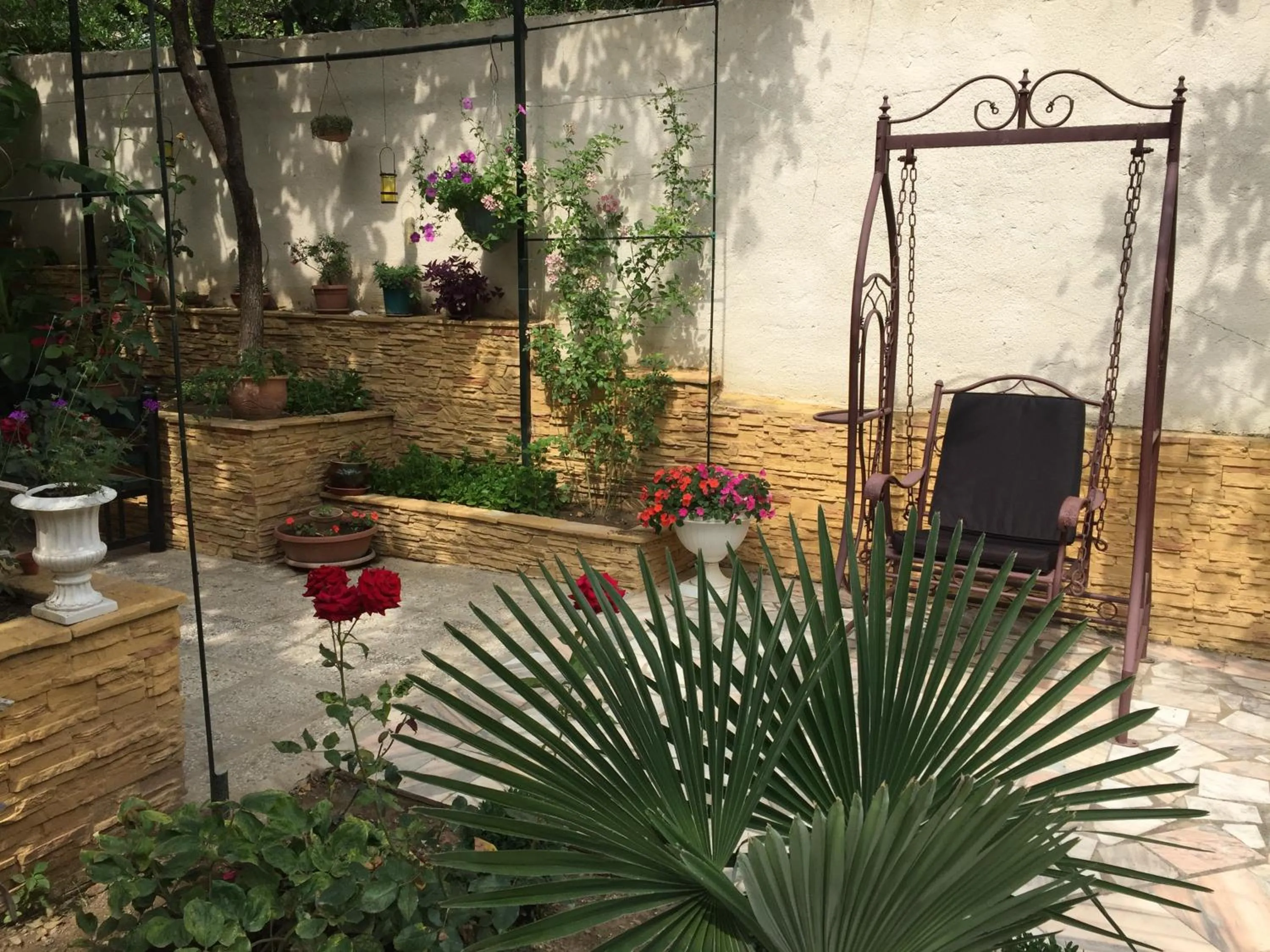Garden in House 41
