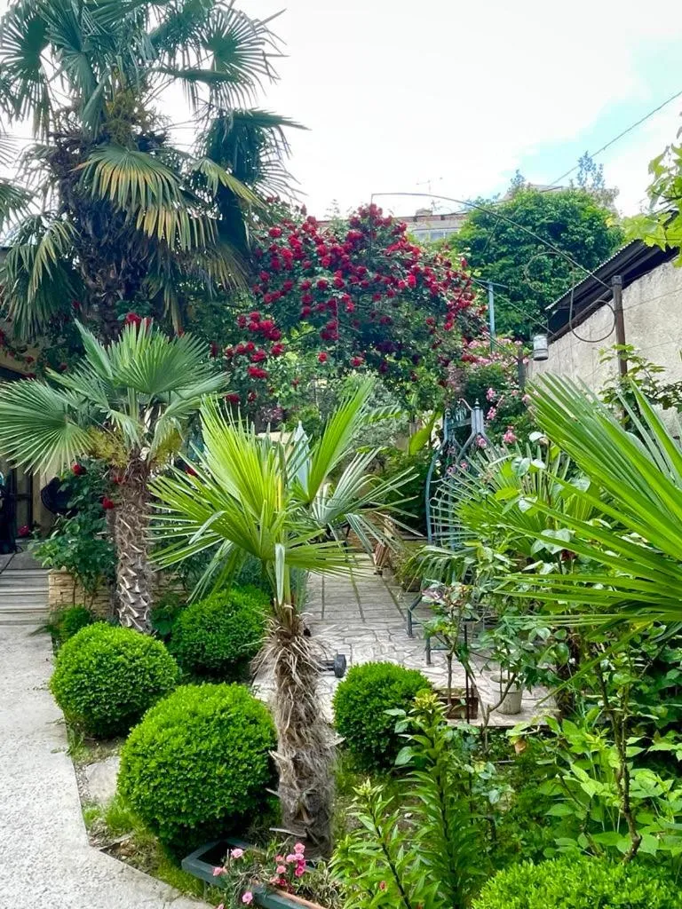 Garden in House 41