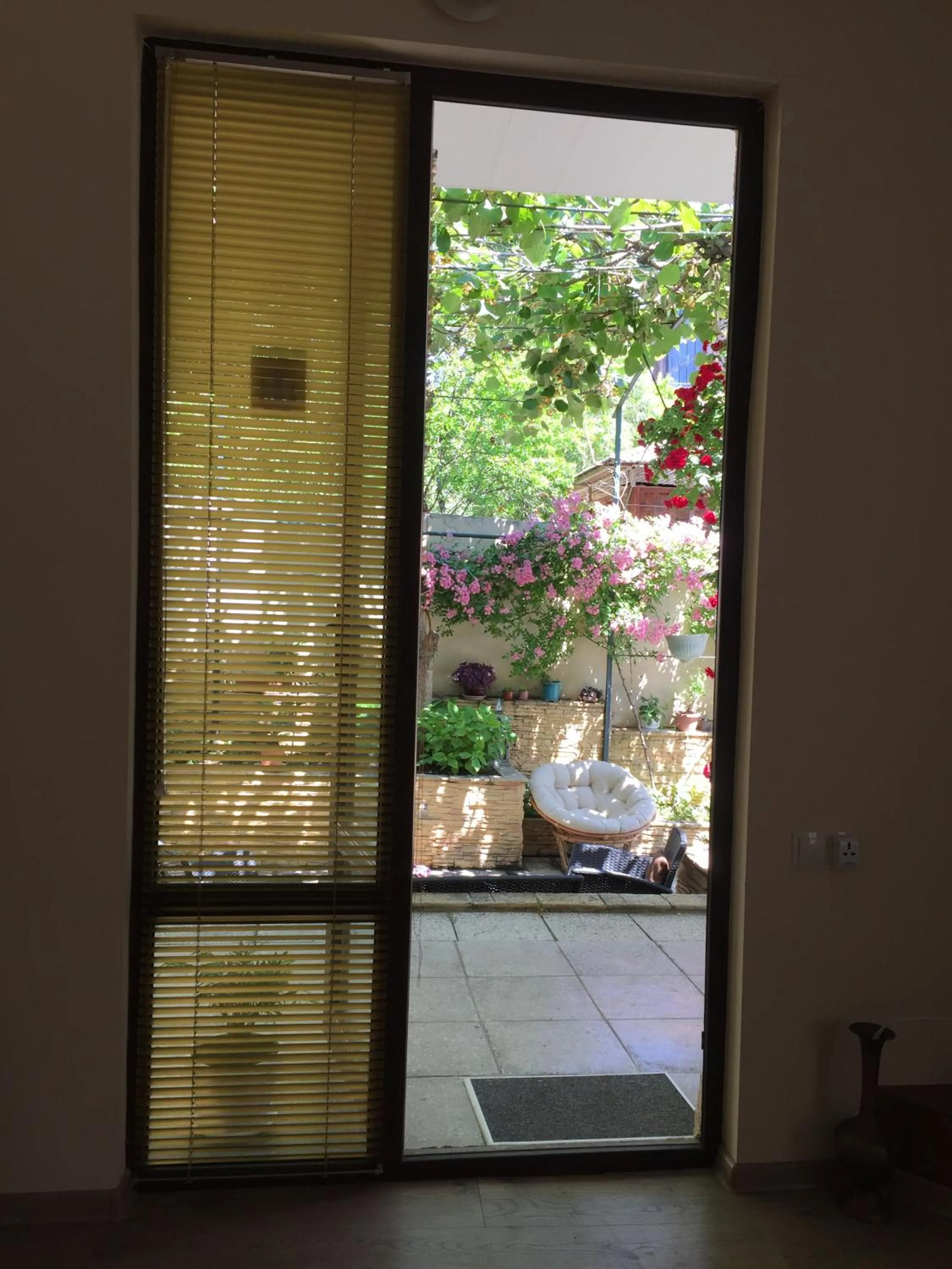 View (from property/room) in House 41