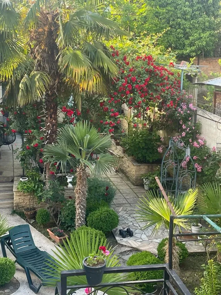 Garden in House 41