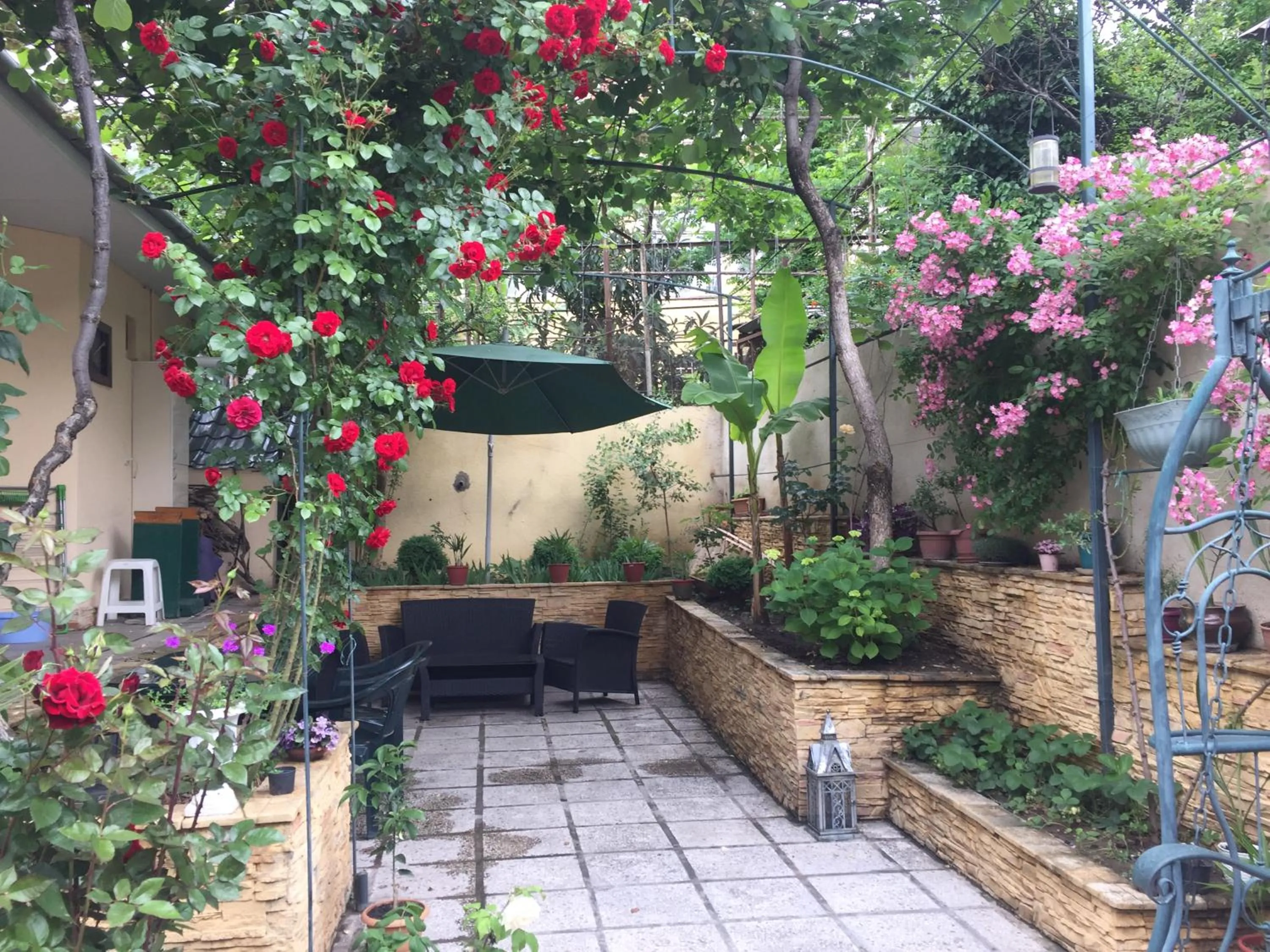 Garden in House 41