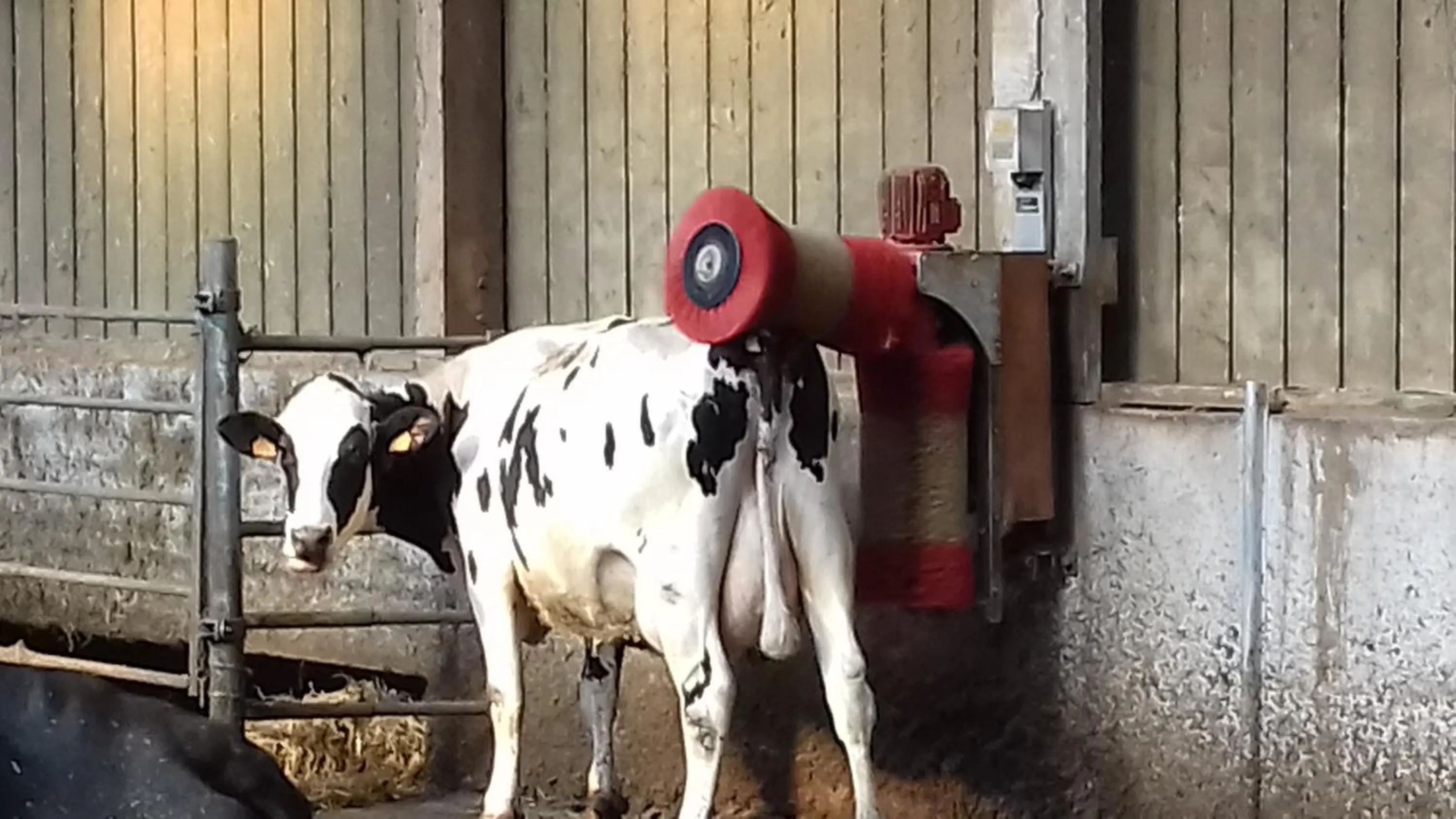 Other in Ferme du Rupalley