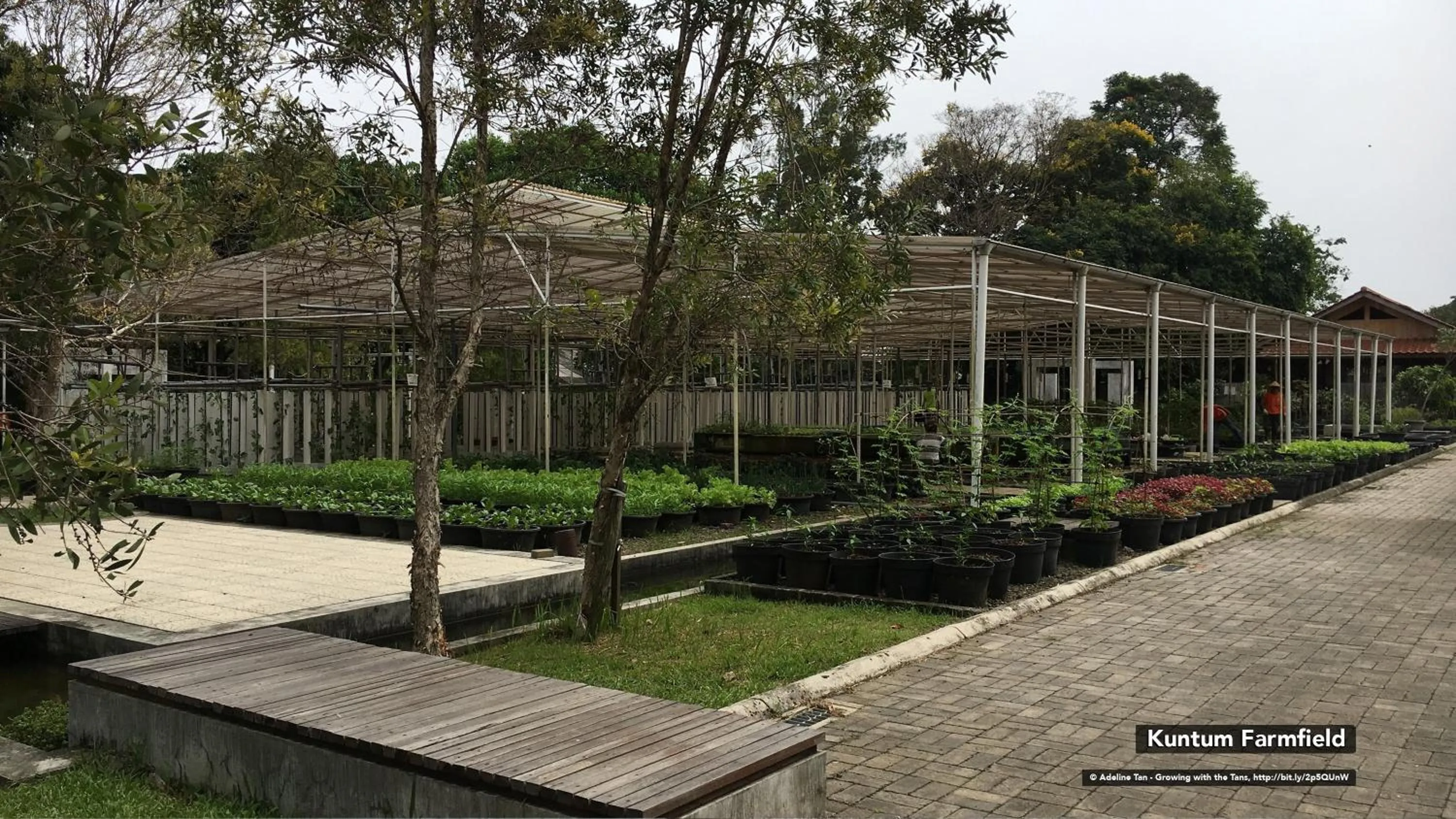 Nearby landmark in Citrus-House com Hotel