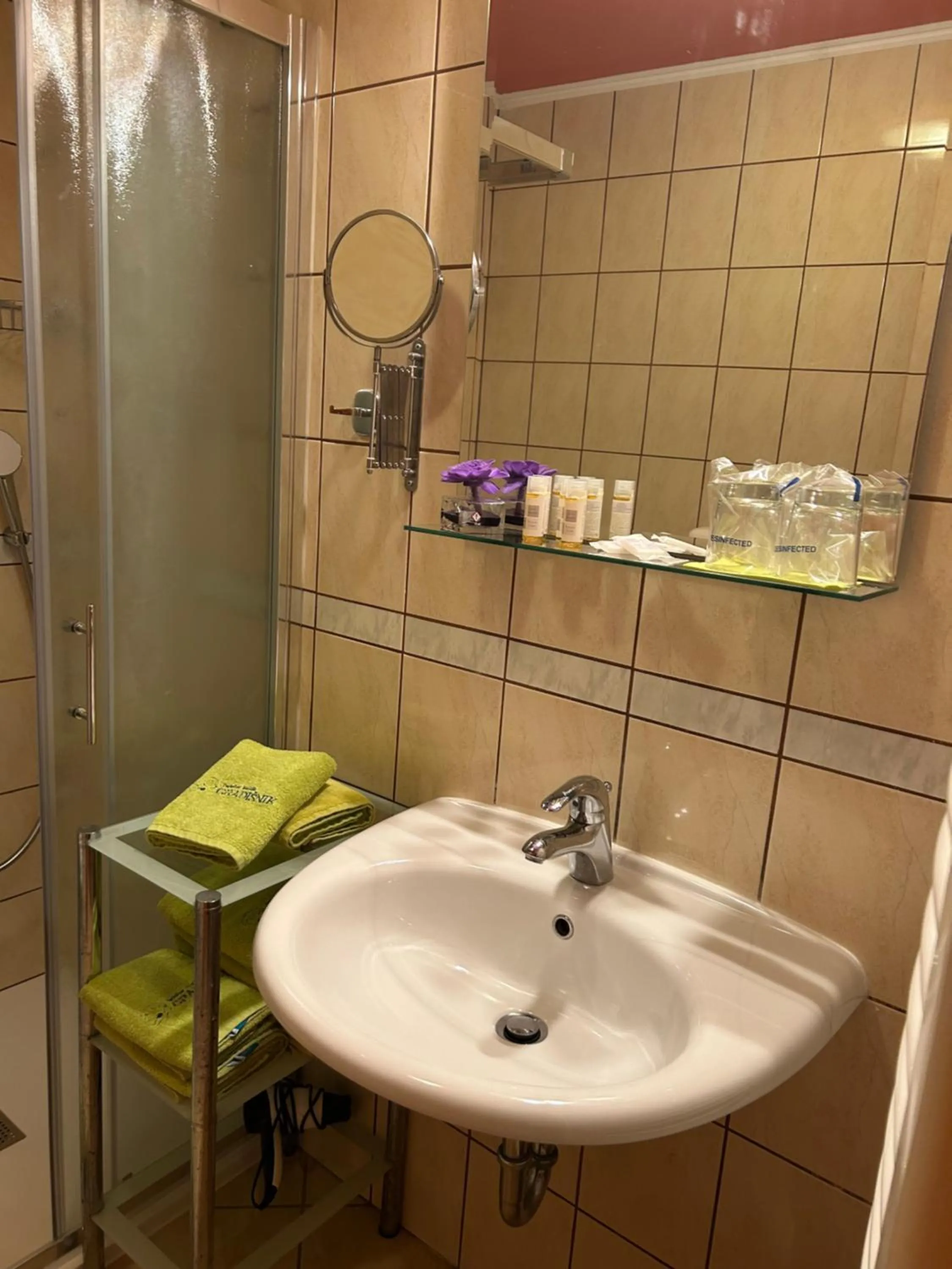 Bathroom in Tourist farm Gradišnik