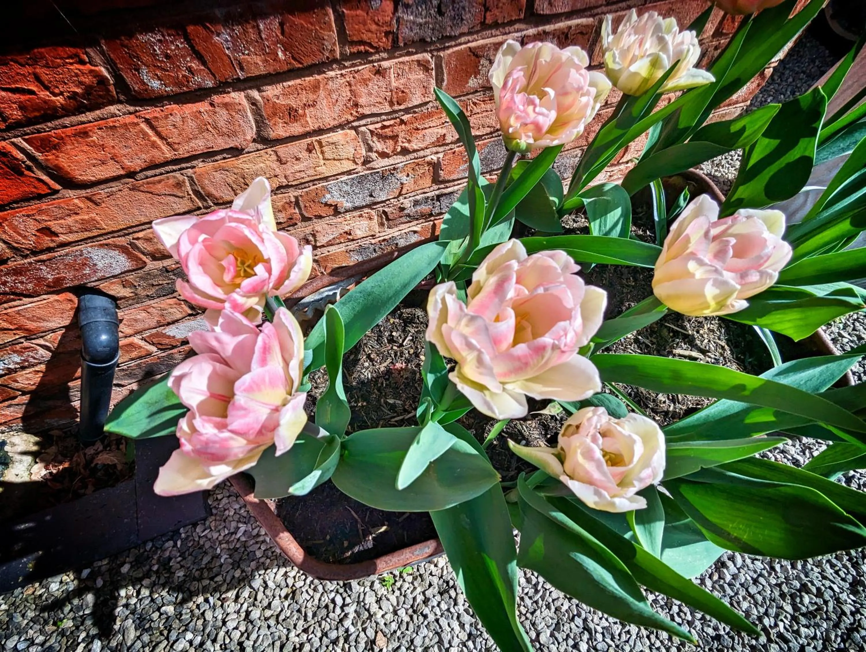 The Dorm Bed and Breakfast