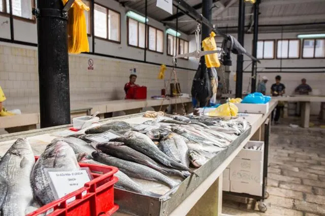 Apartments Slavica Trogir