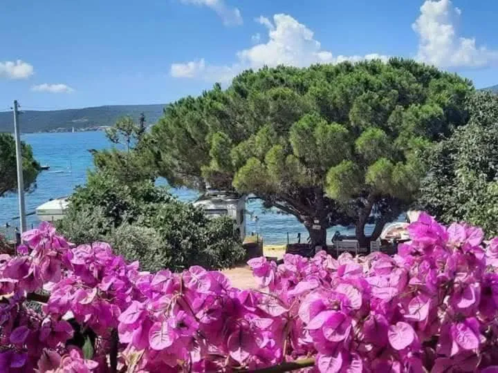 Apartments Slavica Trogir
