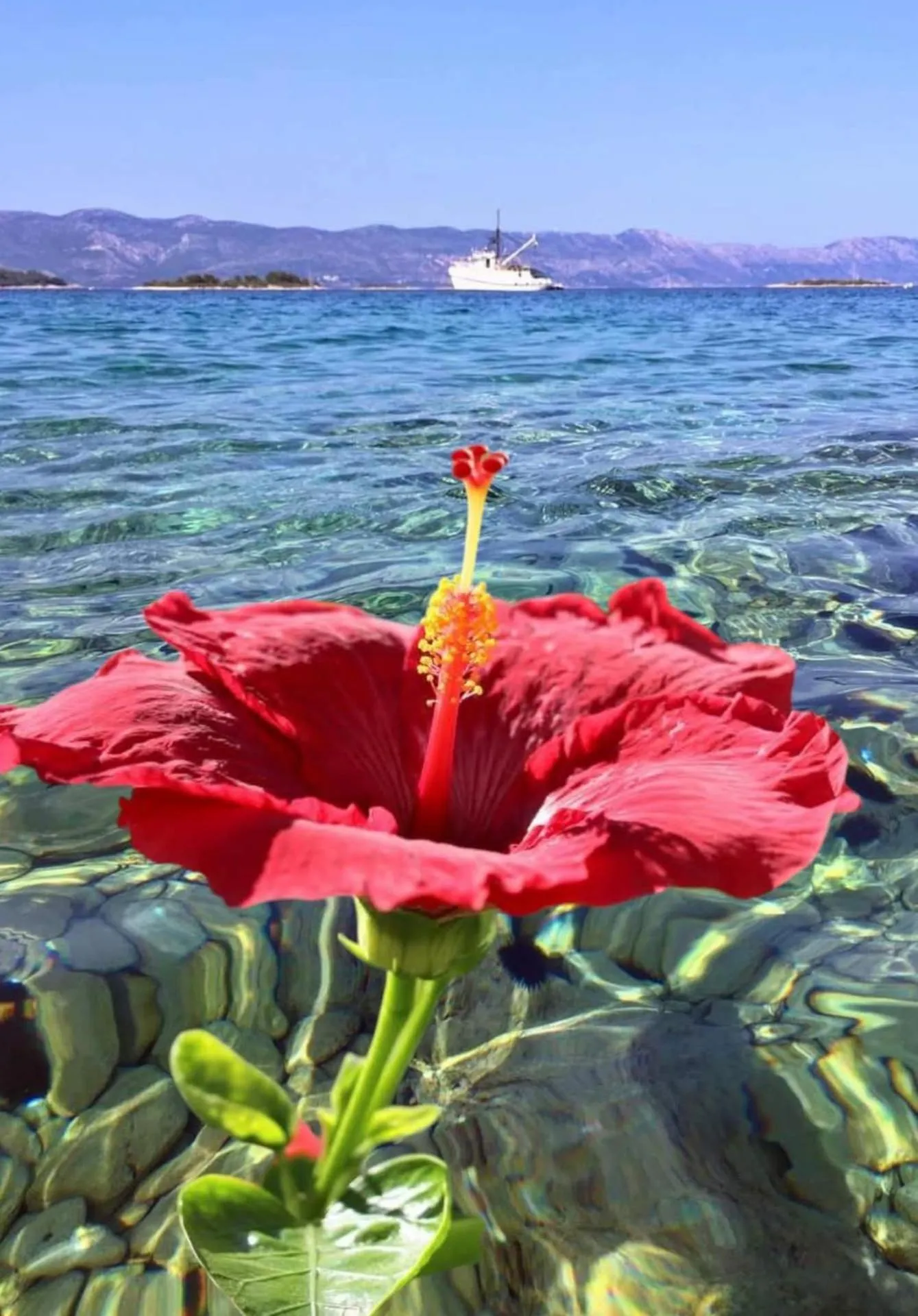 Apartments Slavica Trogir