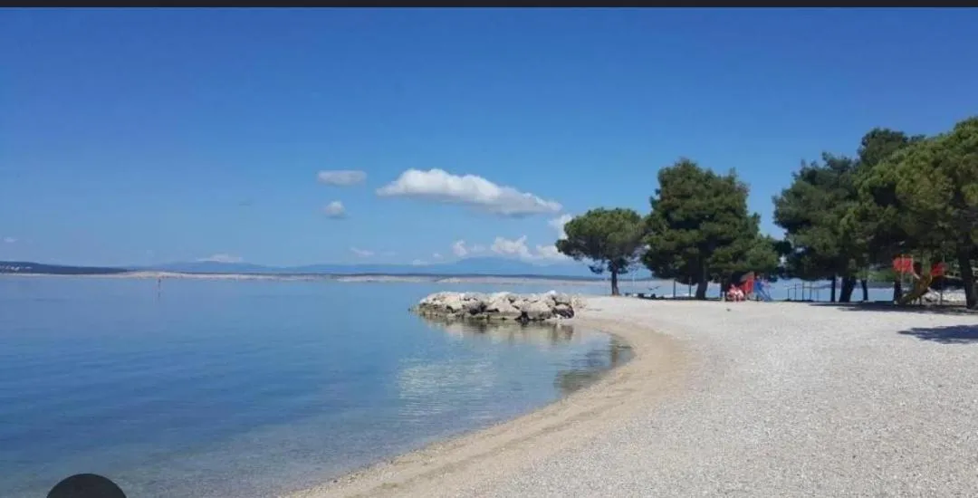 SilvioDino