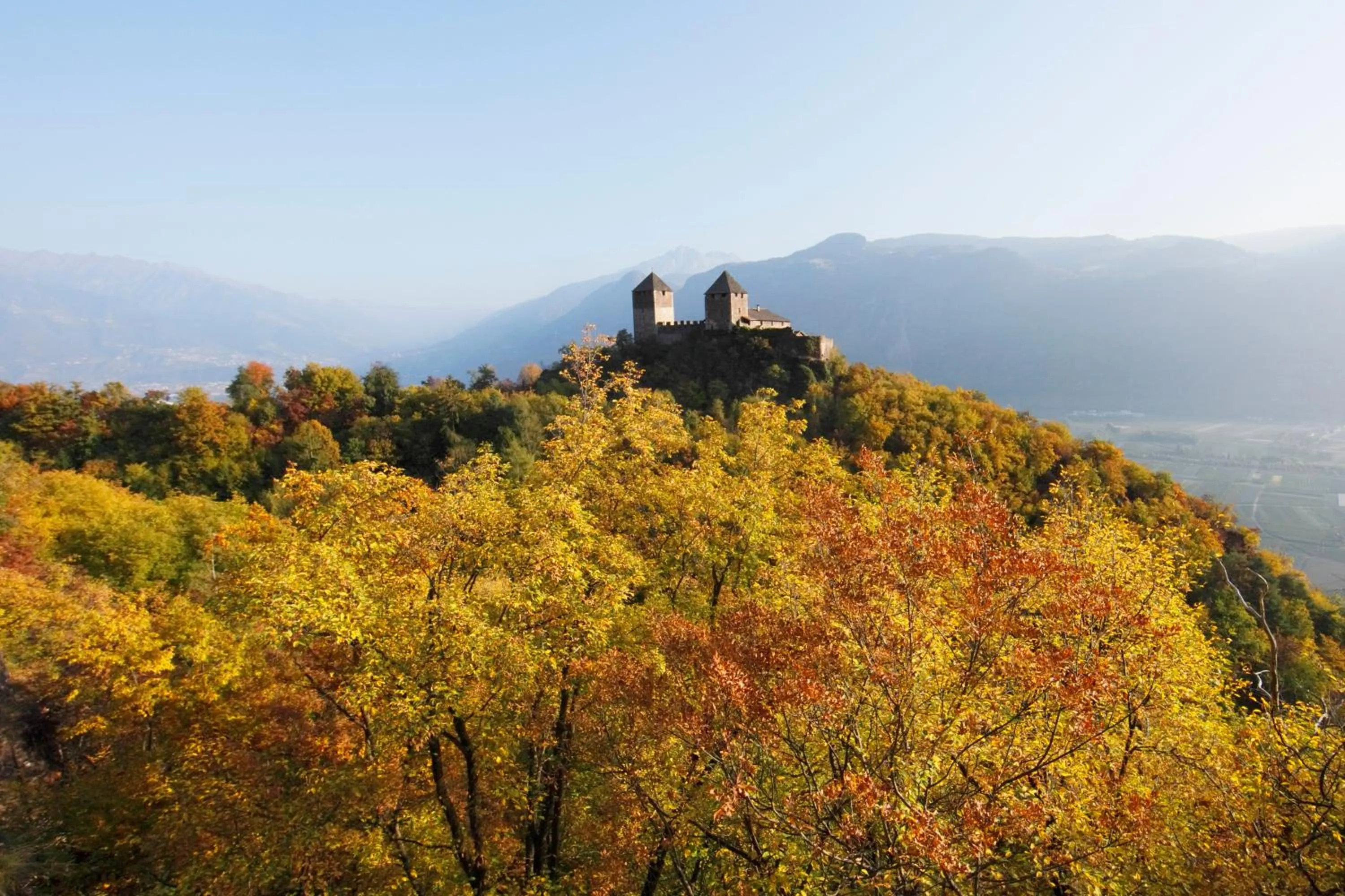 Natural landscape in Panoramic Suites Winzerhöhe