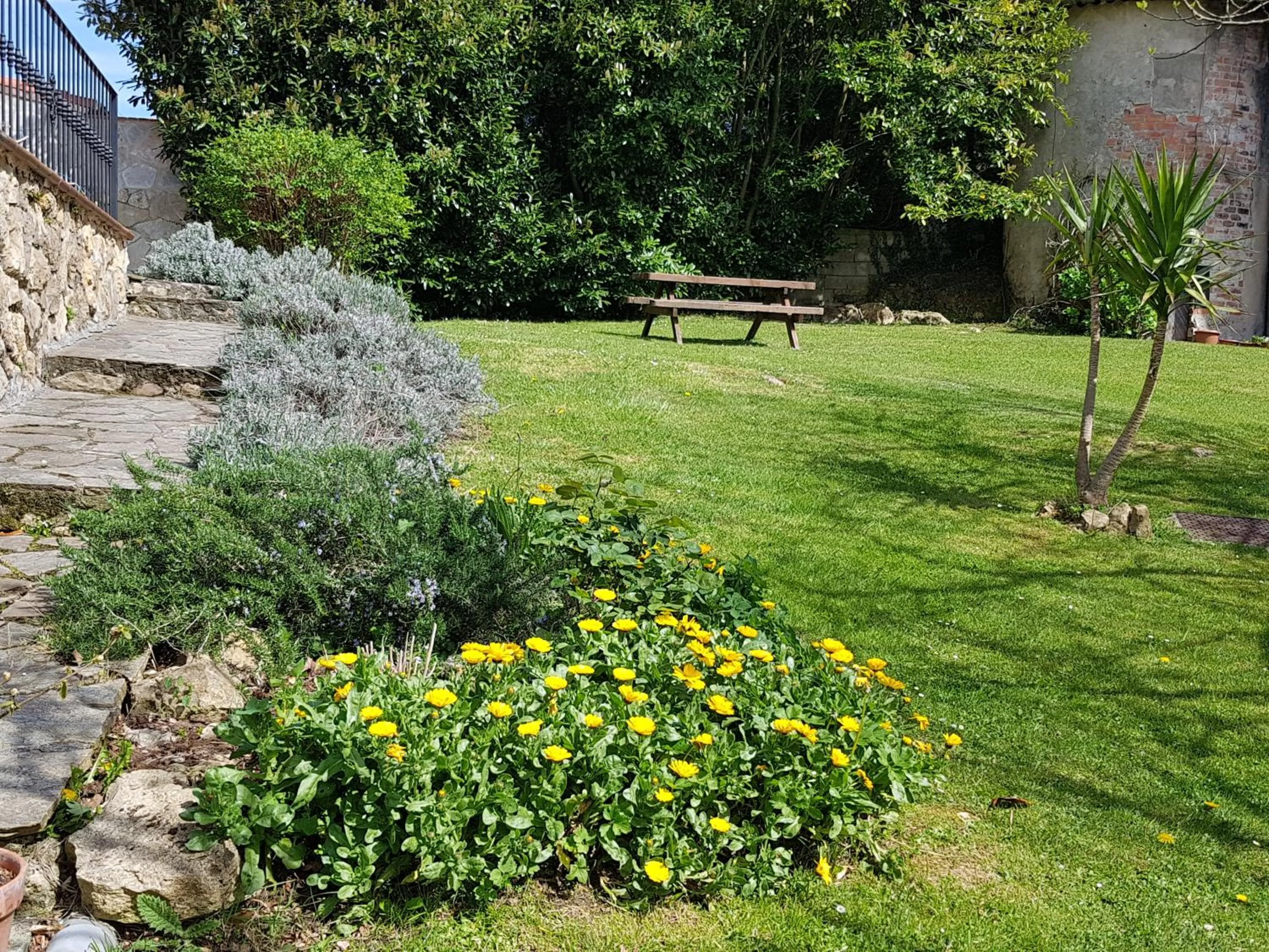 Garden view in El Pedroso
