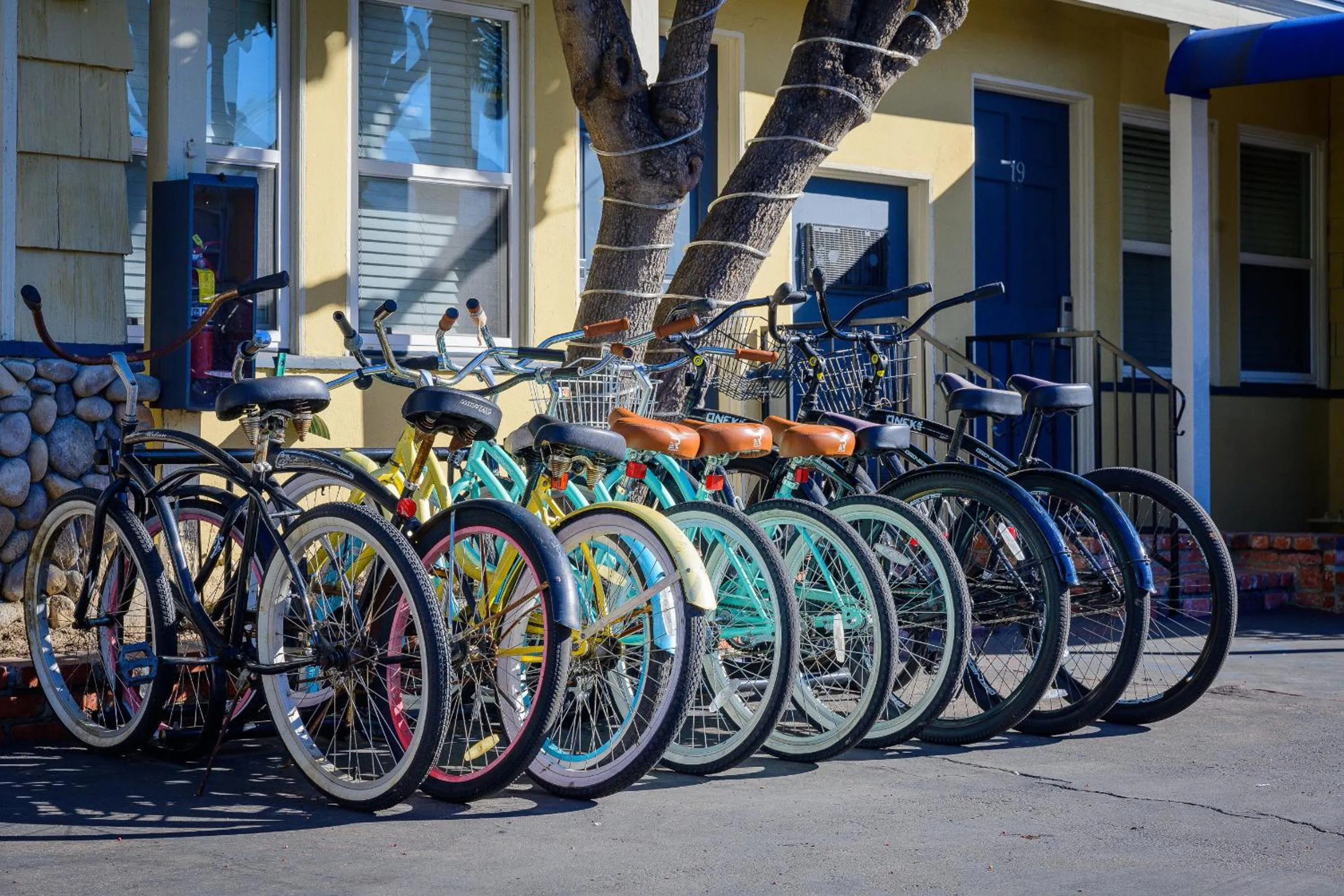 Activities in Coronado Inn