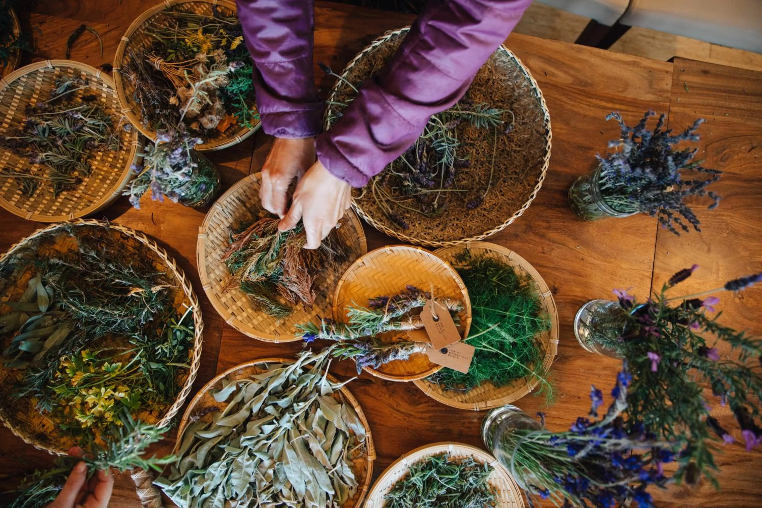 Other in Inn at Moonlight Beach