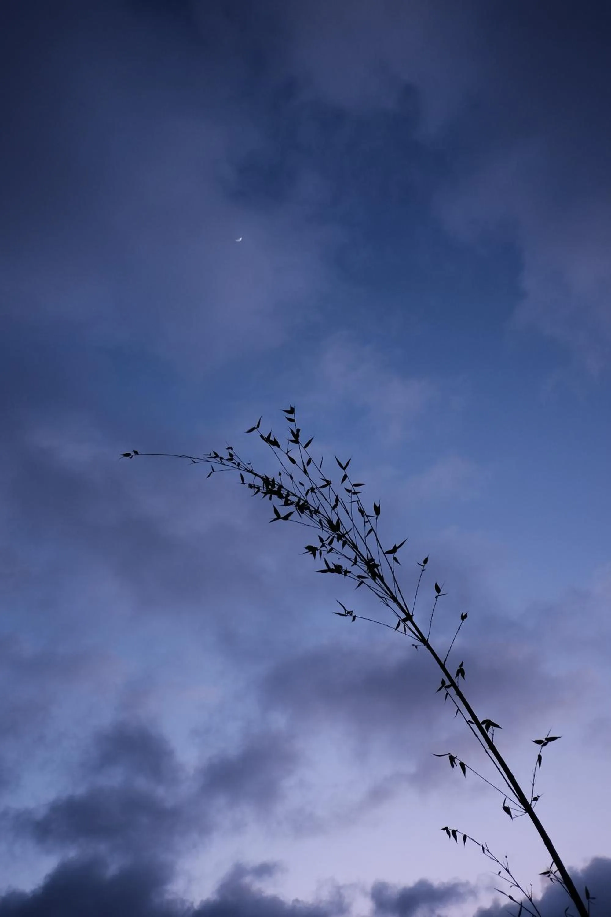 Patio in Inn at Moonlight Beach