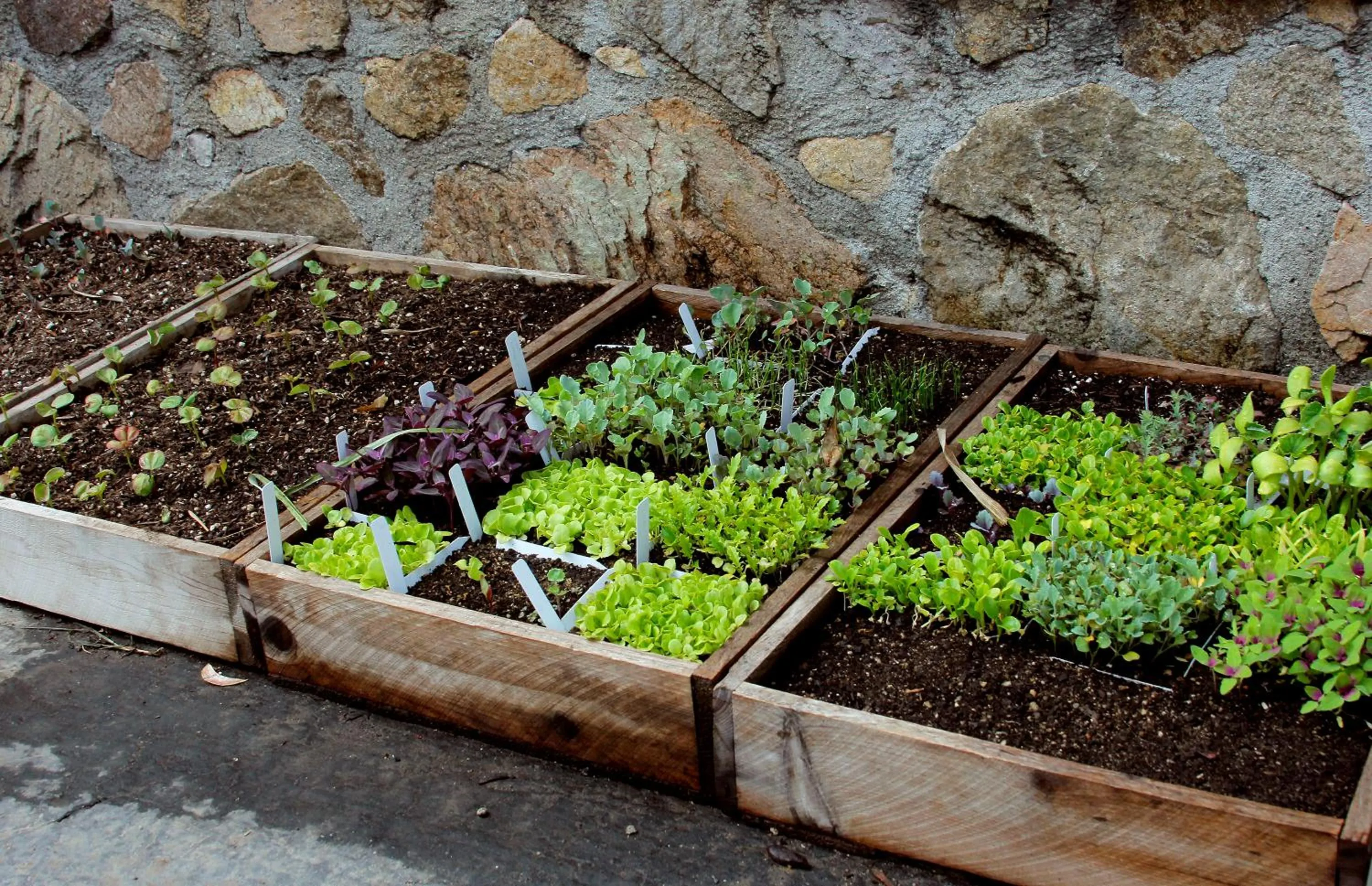 Day in Inn at Moonlight Beach