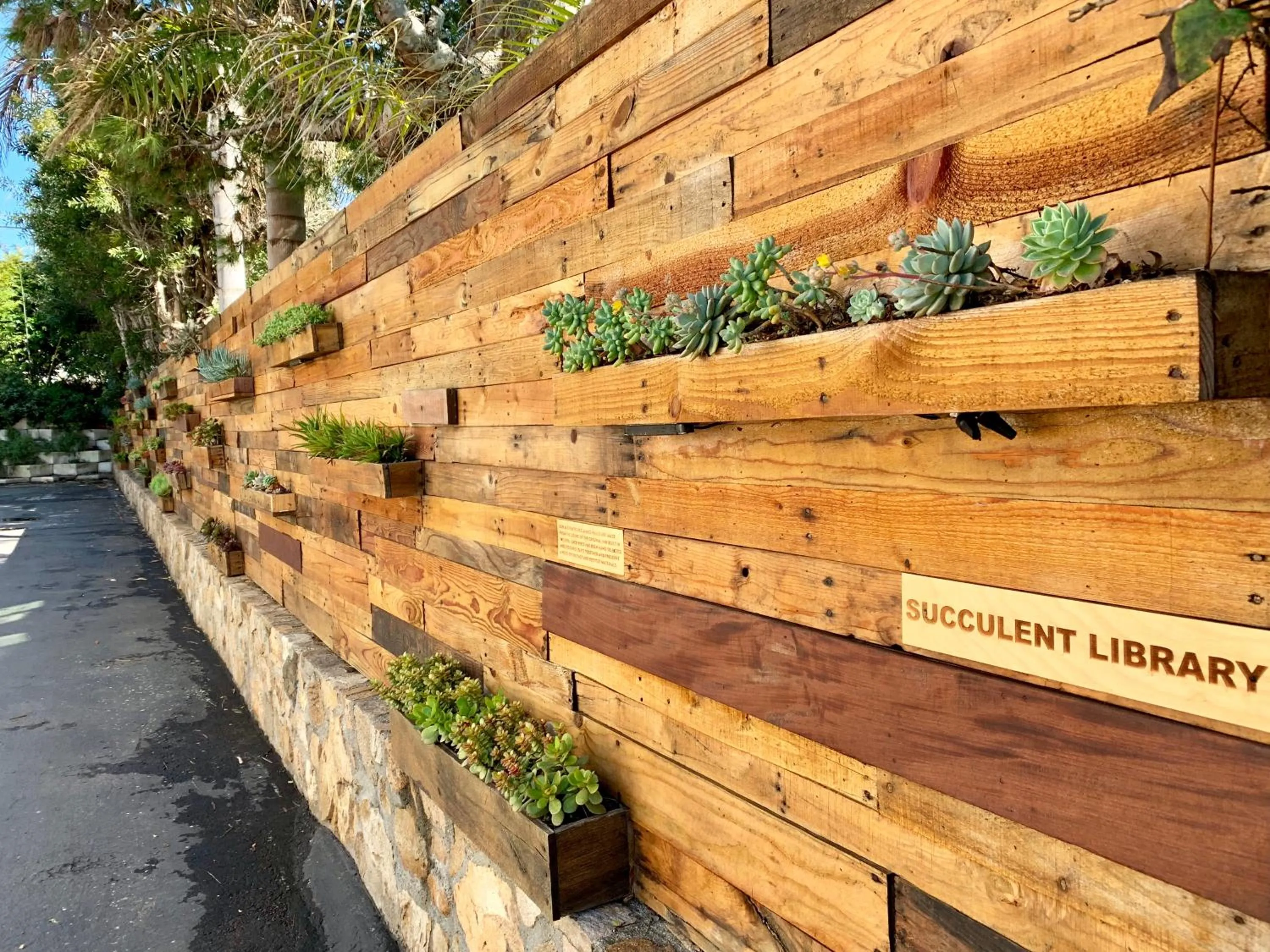 Garden in Inn at Moonlight Beach