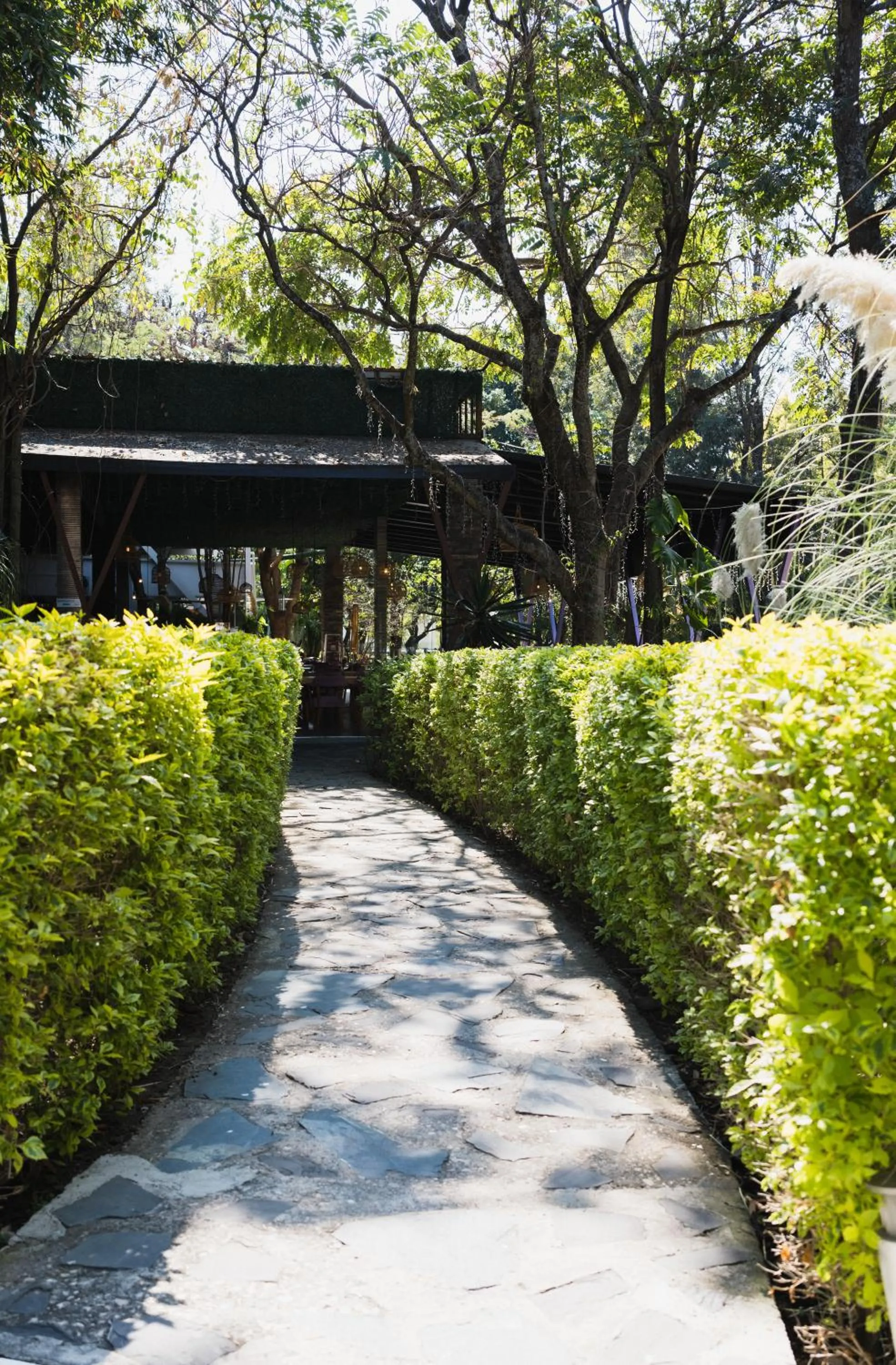 Rancho Macloy Hotel Spa & Social Events