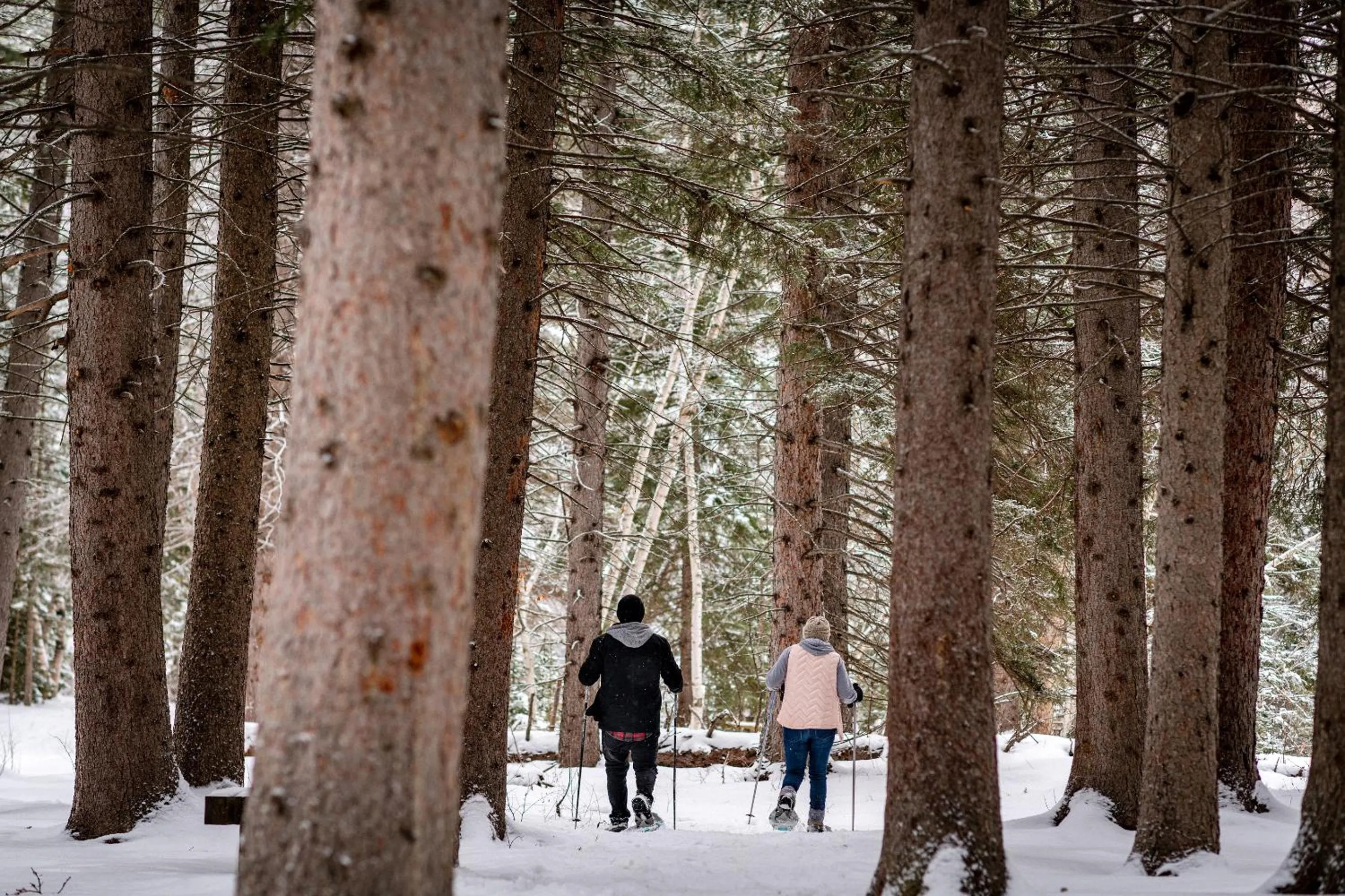 Spearfish Canyon Lodge