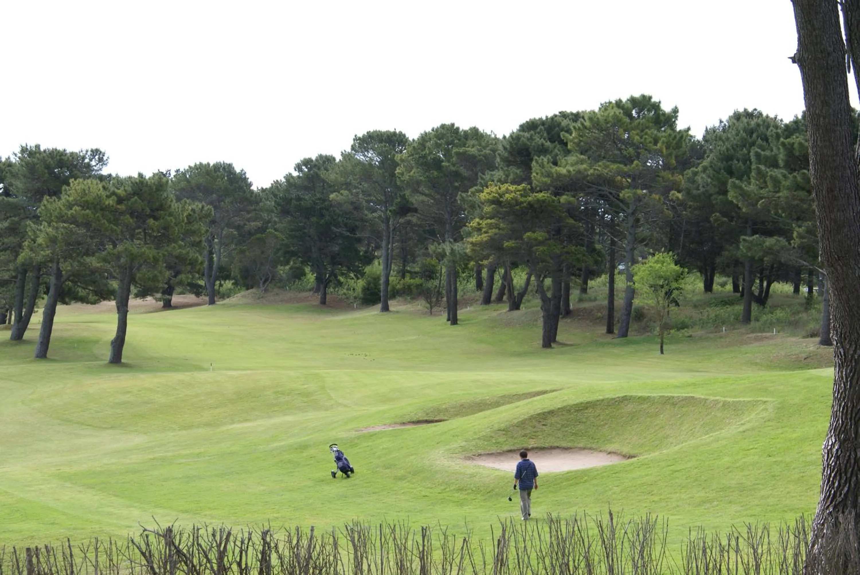 Golfcourse in Hotel Gran International