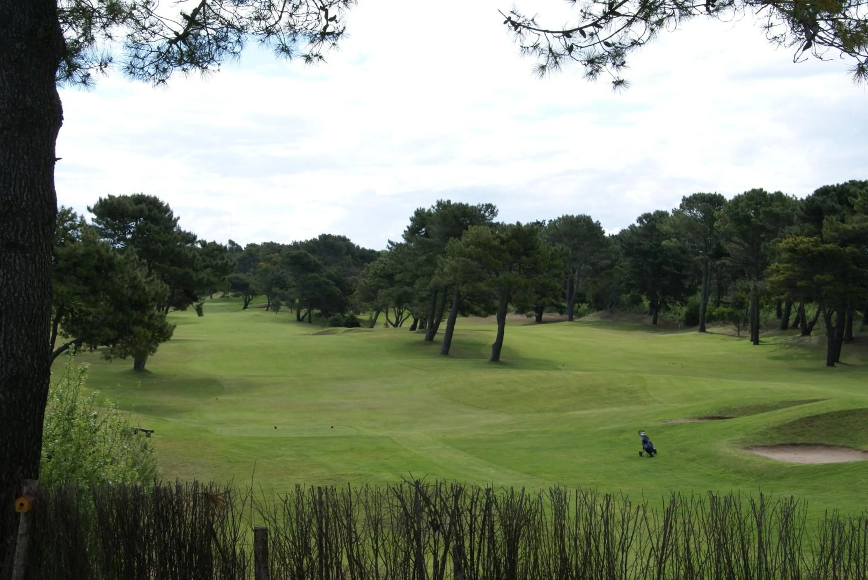Golfcourse in Hotel Gran International