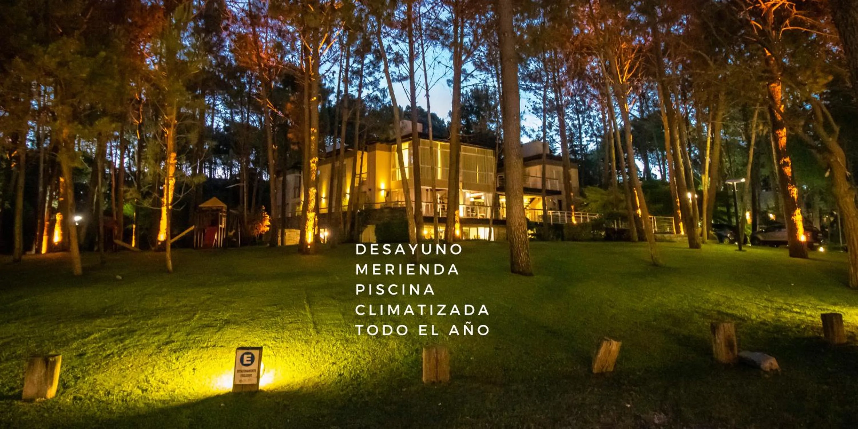 Sonidos Del Bosque